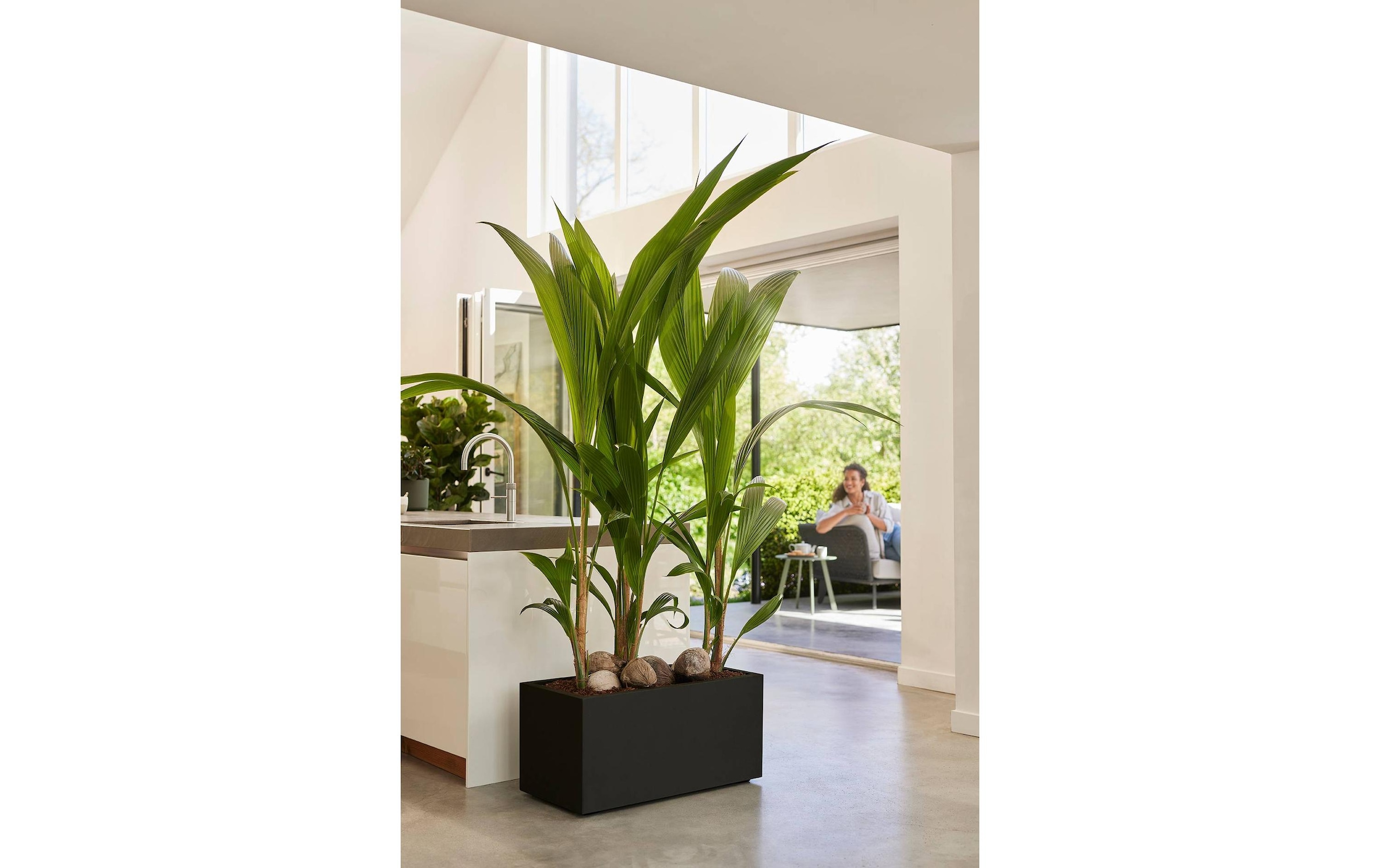 Elho Blumentopf »Vivo Next Lang 60 cm«