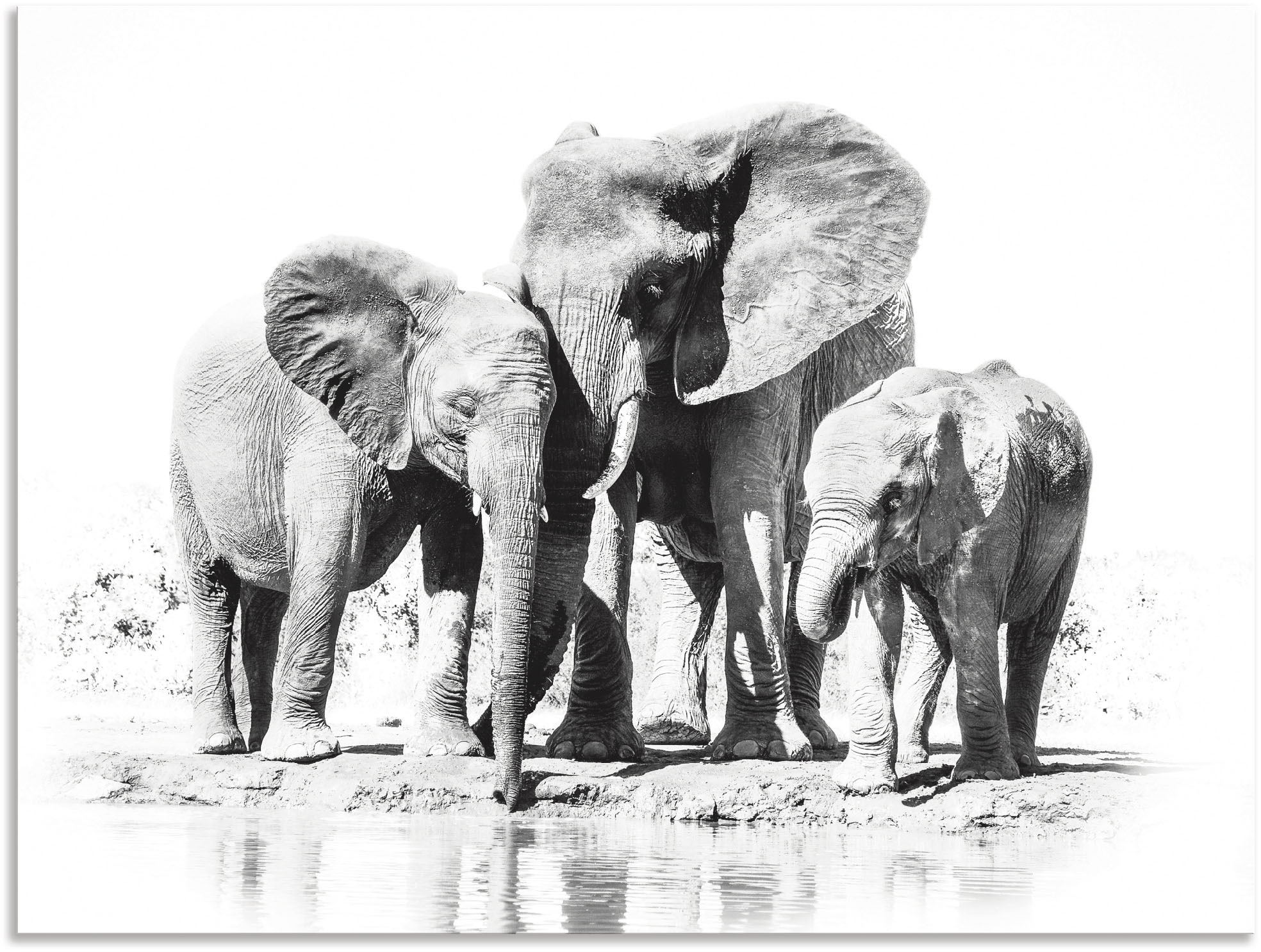 Wandbild kaufen St.), bequem oder Artland Wandaufkleber Poster Bilder, »Elefantenmutter Elefanten als versch. Leinwandbild, in mit Alubild, Kindern«, (1 Grössen