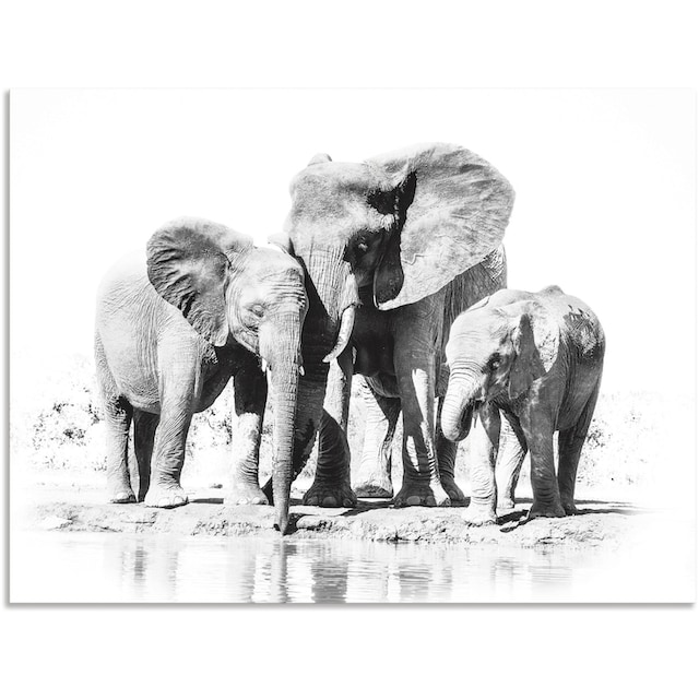 Artland Wandbild »Elefantenmutter mit Kindern«, Elefanten Bilder, (1 St.),  als Alubild, Leinwandbild, Wandaufkleber oder Poster in versch. Grössen  bequem kaufen