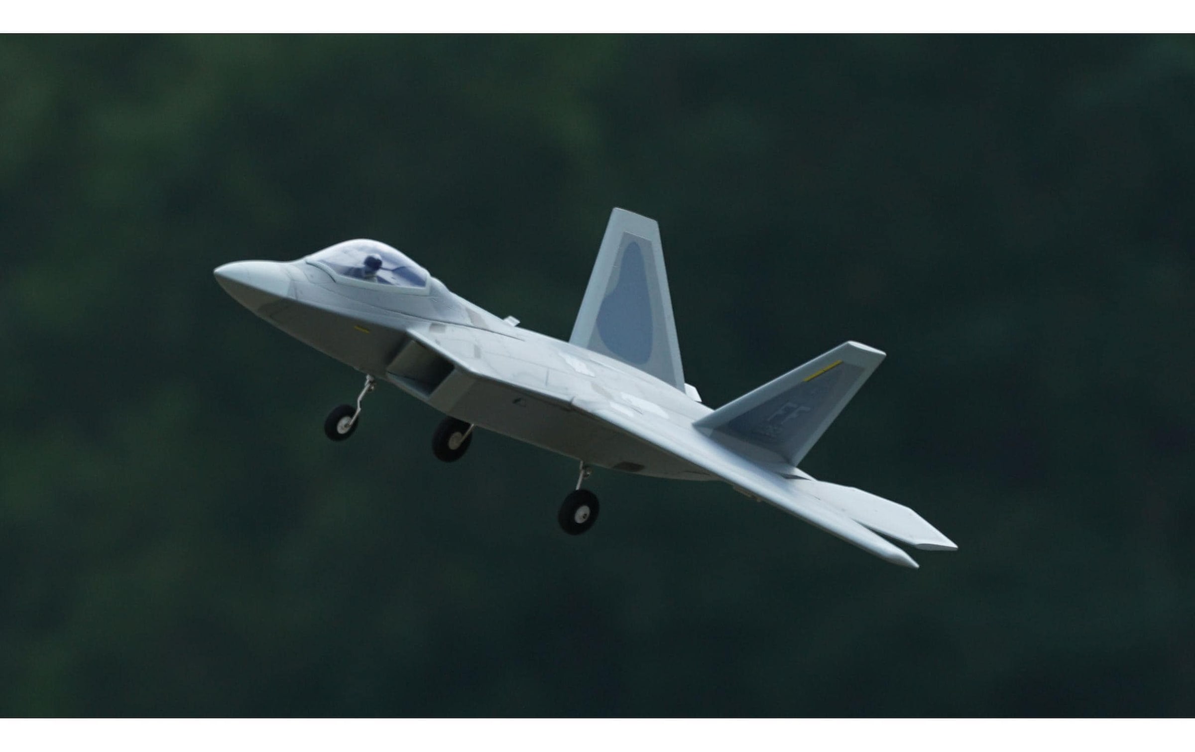 Amewi RC-Flugzeug »XFly F-22 Raptor, 40 mm Twin EDF, PNP«