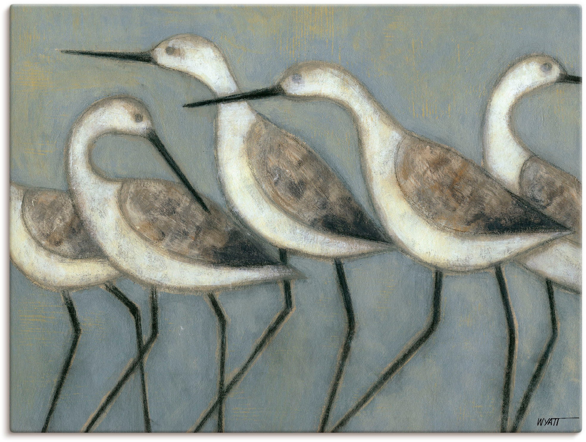 Image of Artland Wandbild "Küstenvögel I" Vögel 1 Stk. tlg. als Leinwandbild, Poster in verschied. Grössen