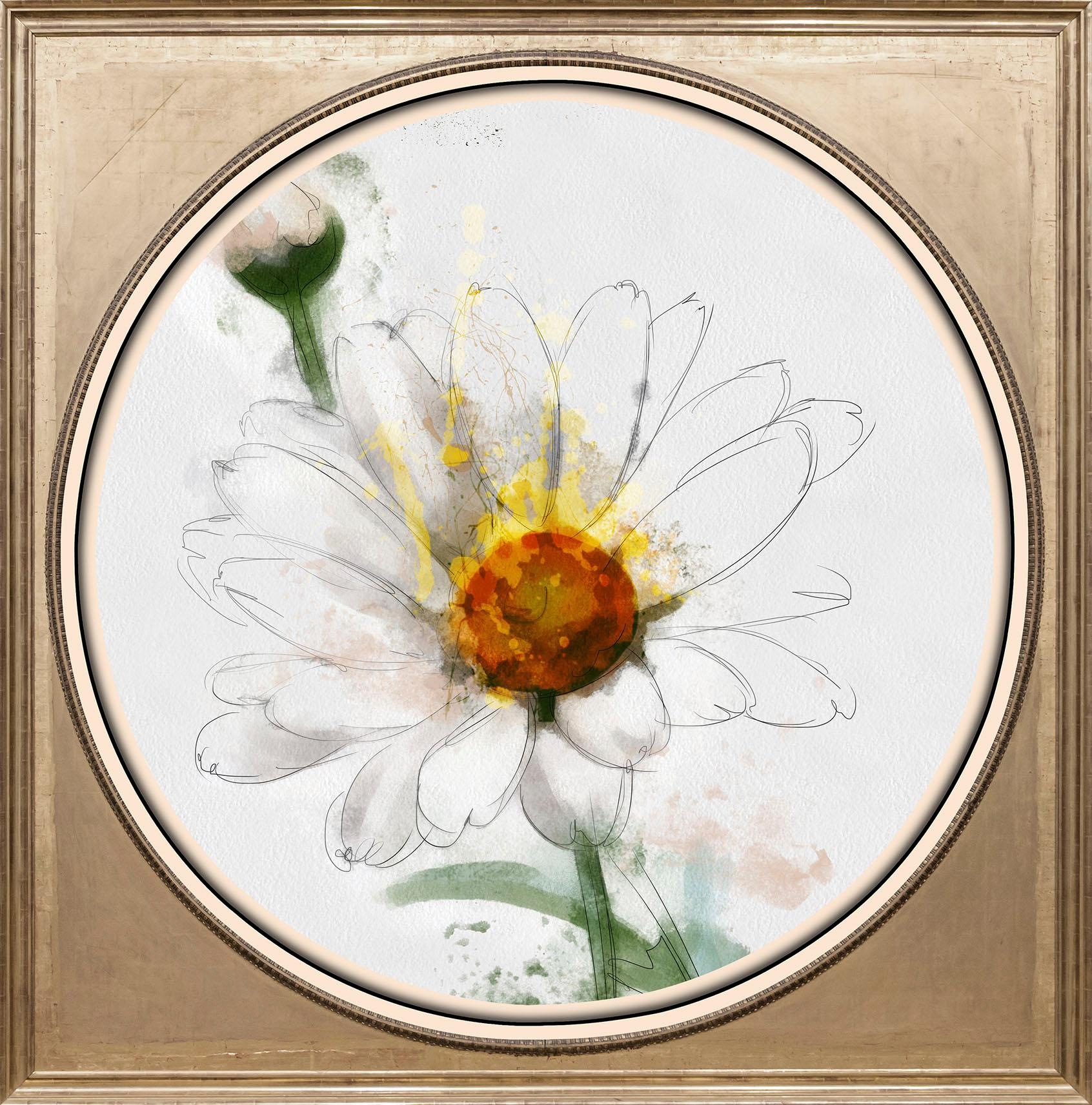 Image of queence Acrylglasbild "Weisse Blüte" Blumen Blumenbilder Gemälde Kunst Pflanzen Pflanzenbilder Fine Art-Print in Galeriequalität