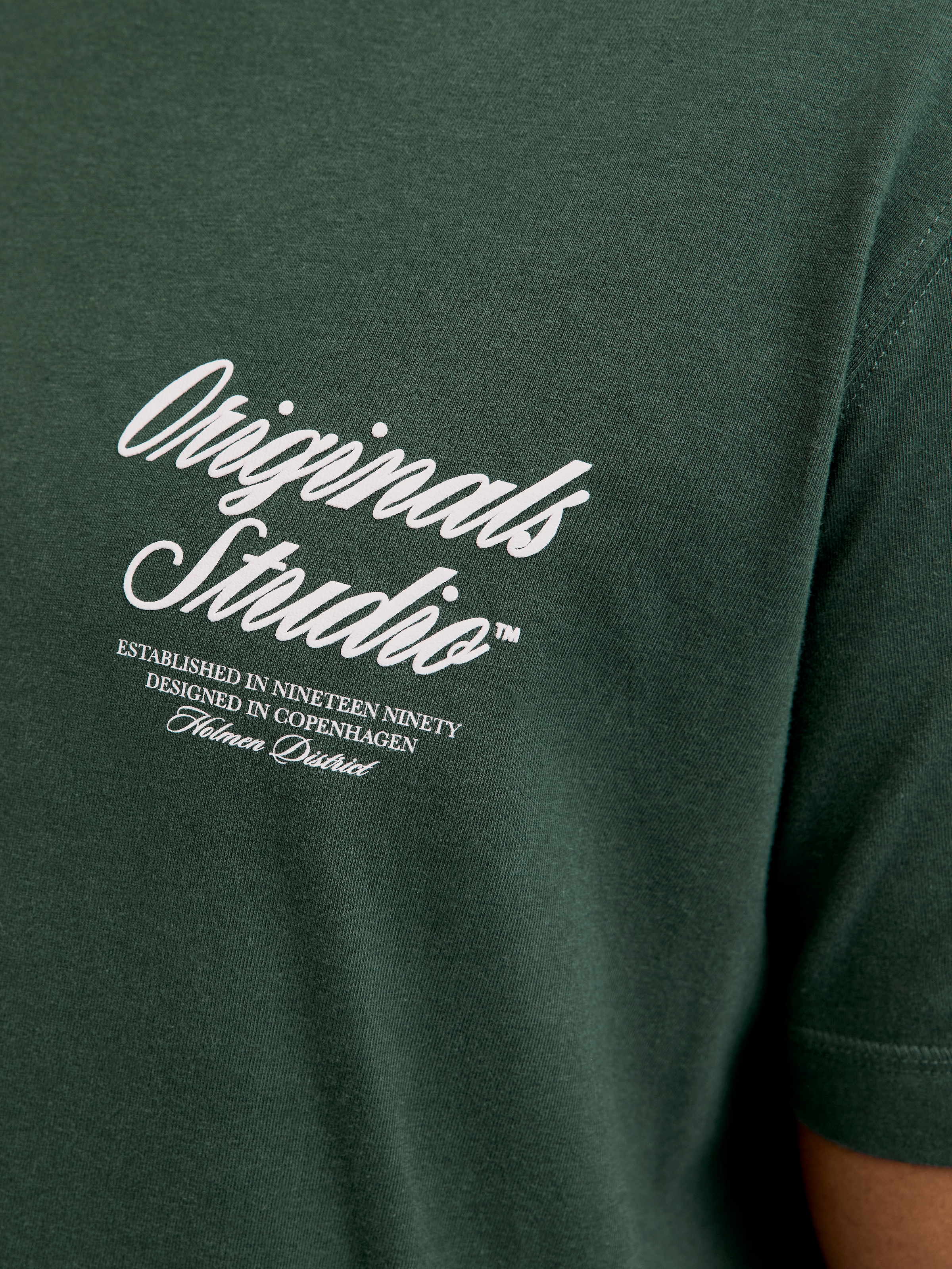 Jack & Jones PlusSize Kurzarmshirt »JORNORREBRO TYPO TEE SS CREW NECK  PLS«, mit Schriftzug
