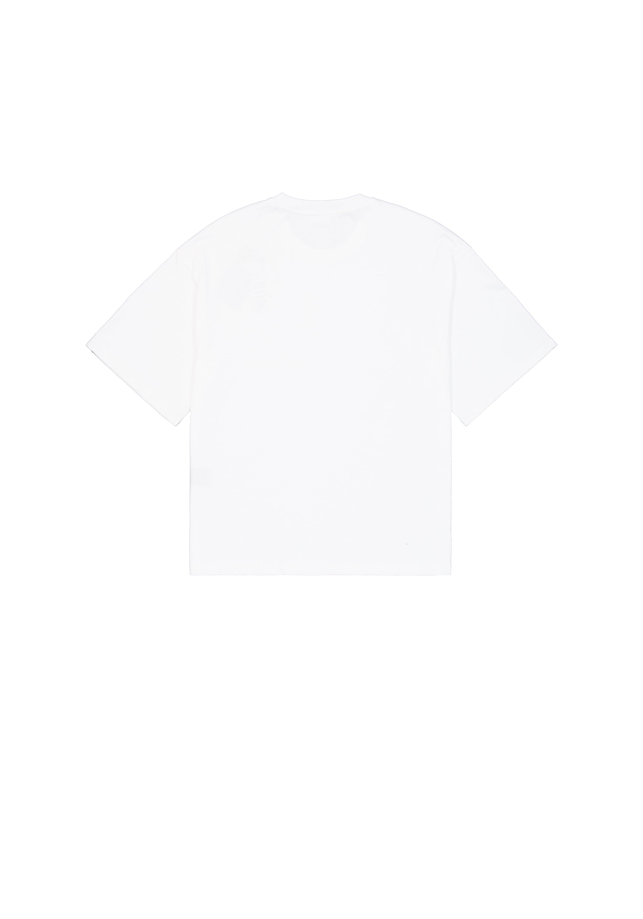 Alpha Industries T-Shirt »Studio Edition T-Shirt«