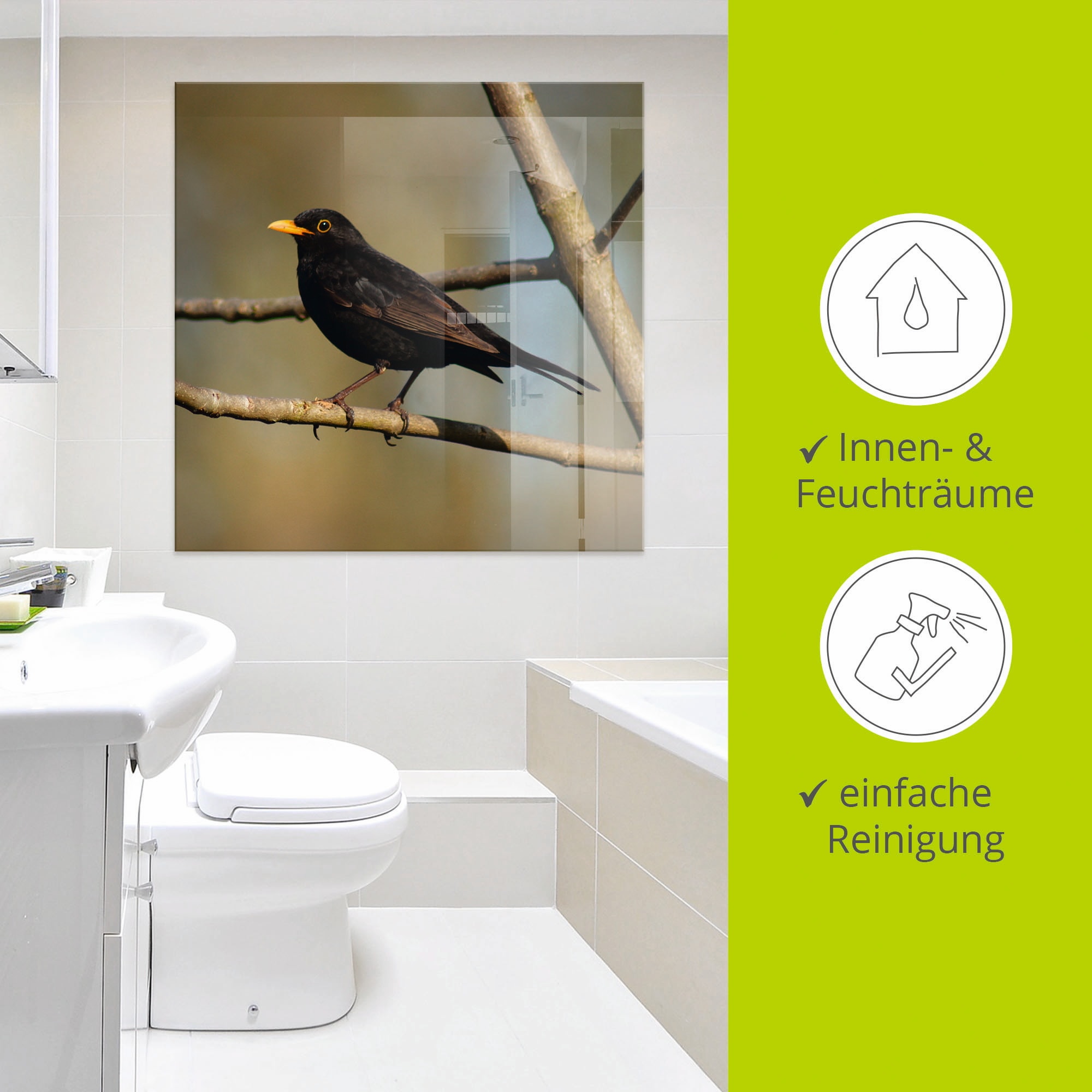 Artland Glasbild »Amsel«, Vögel, (1 St.), in verschiedenen Grössen