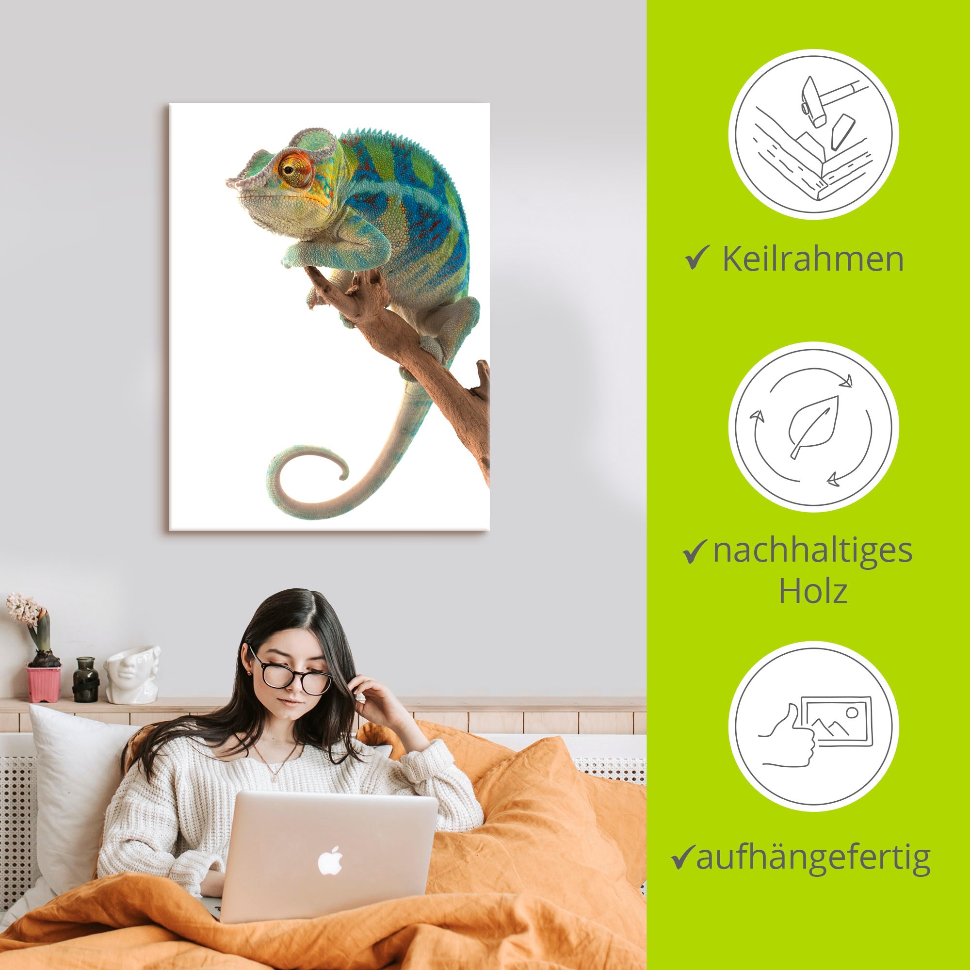 Artland Wandbild »Ambanja Panther Chamäleon«, Reptilien, (1 St.), als Leinwandbild, Poster in verschied. Grössen