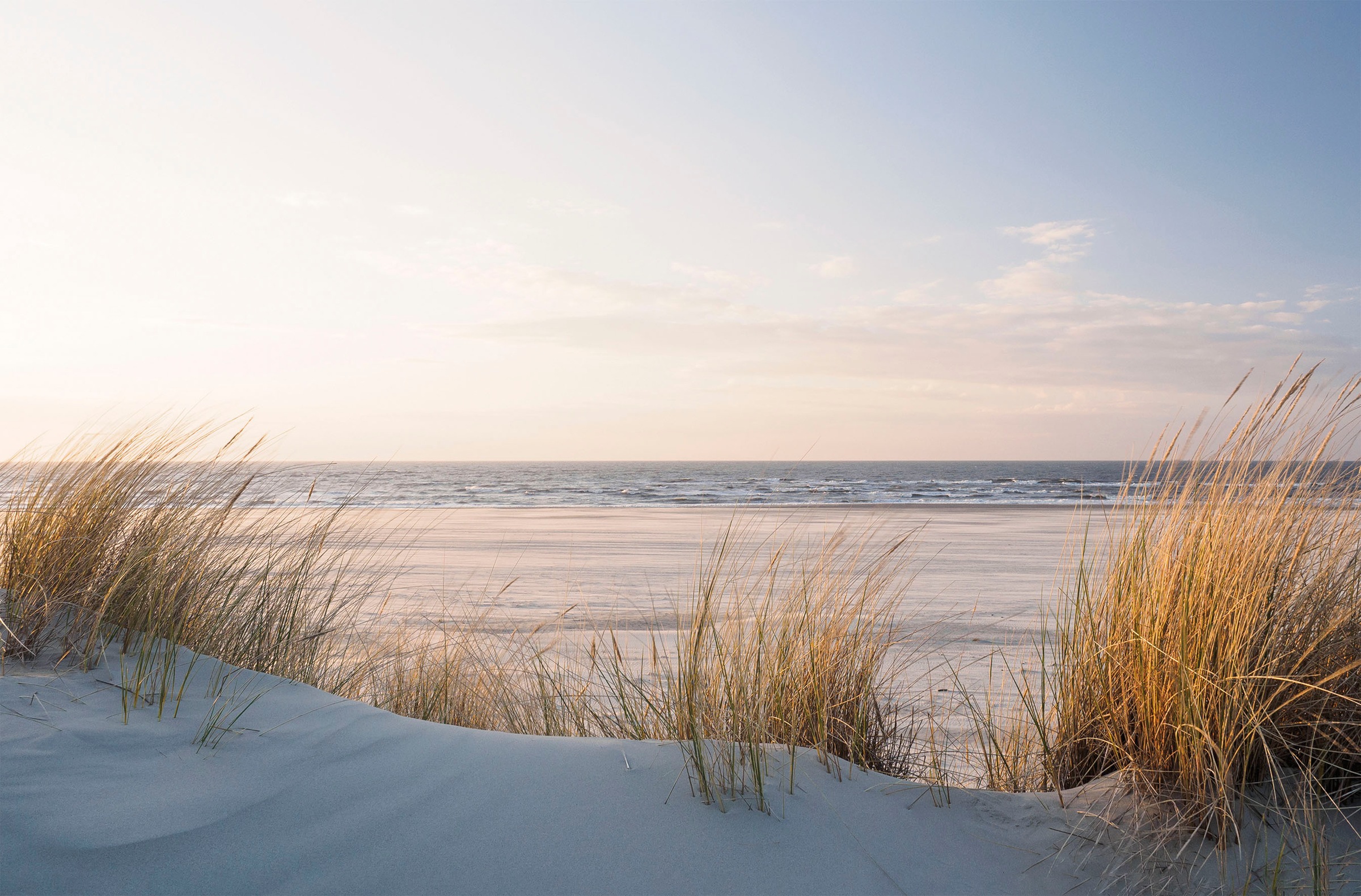 Image of Bönninghoff Leinwandbild "Wandbild DÜNEN, STRAND UND MEER 78x118 cm – Leinwandbild Keilrahmen" Düne Strand 1 Stk. tlg. auf Keilrahmen gespannt