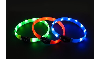 Hunde-Halsband »Visio Light LED L«