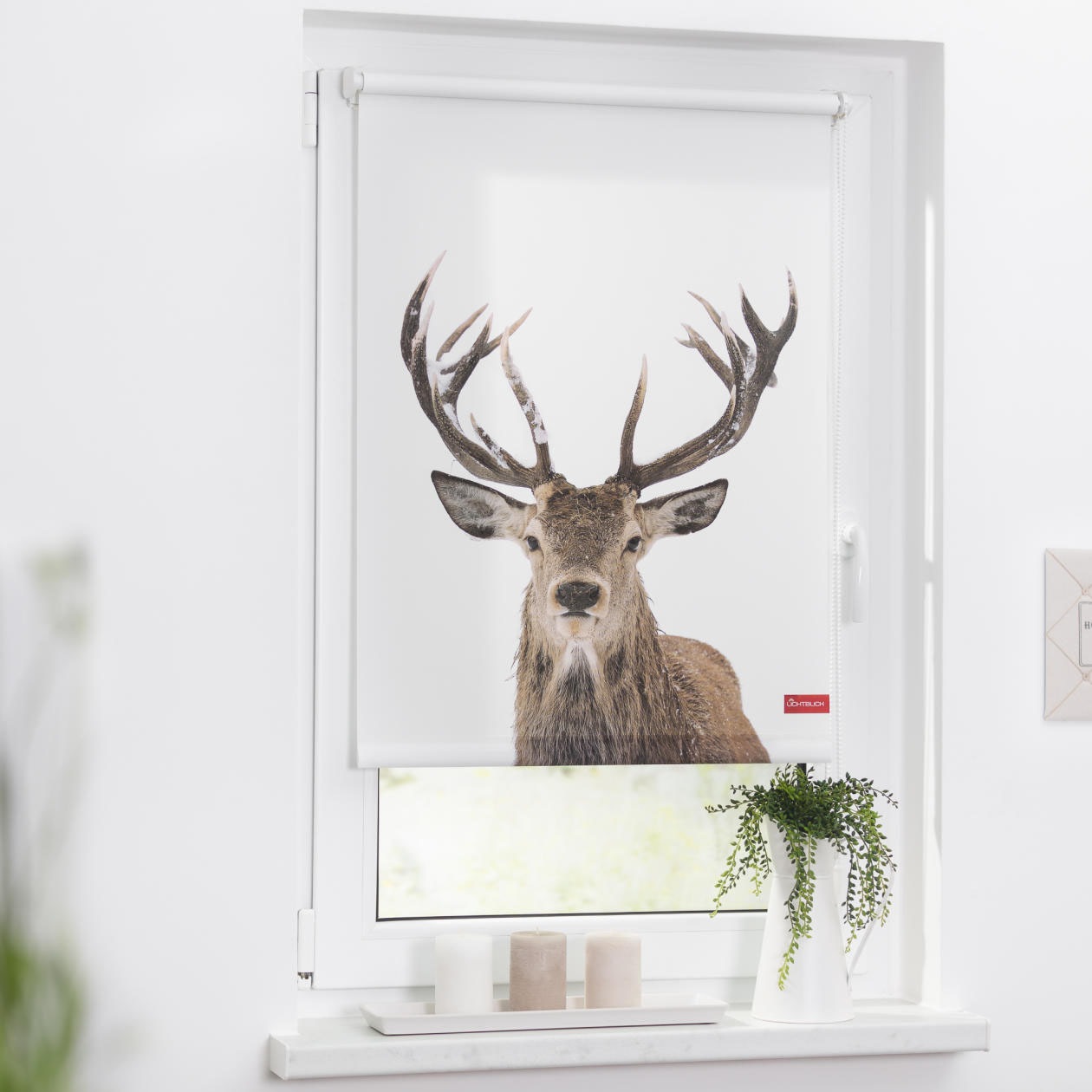 Image of LICHTBLICK ORIGINAL Seitenzugrollo »Rollo Klemmfix, ohne Bohren, Verdunkelung, Hirsch - Weiss Braun«, verdunkelnd, Verdunkelung-energiesparend, freihängend bei Ackermann Versand Schweiz