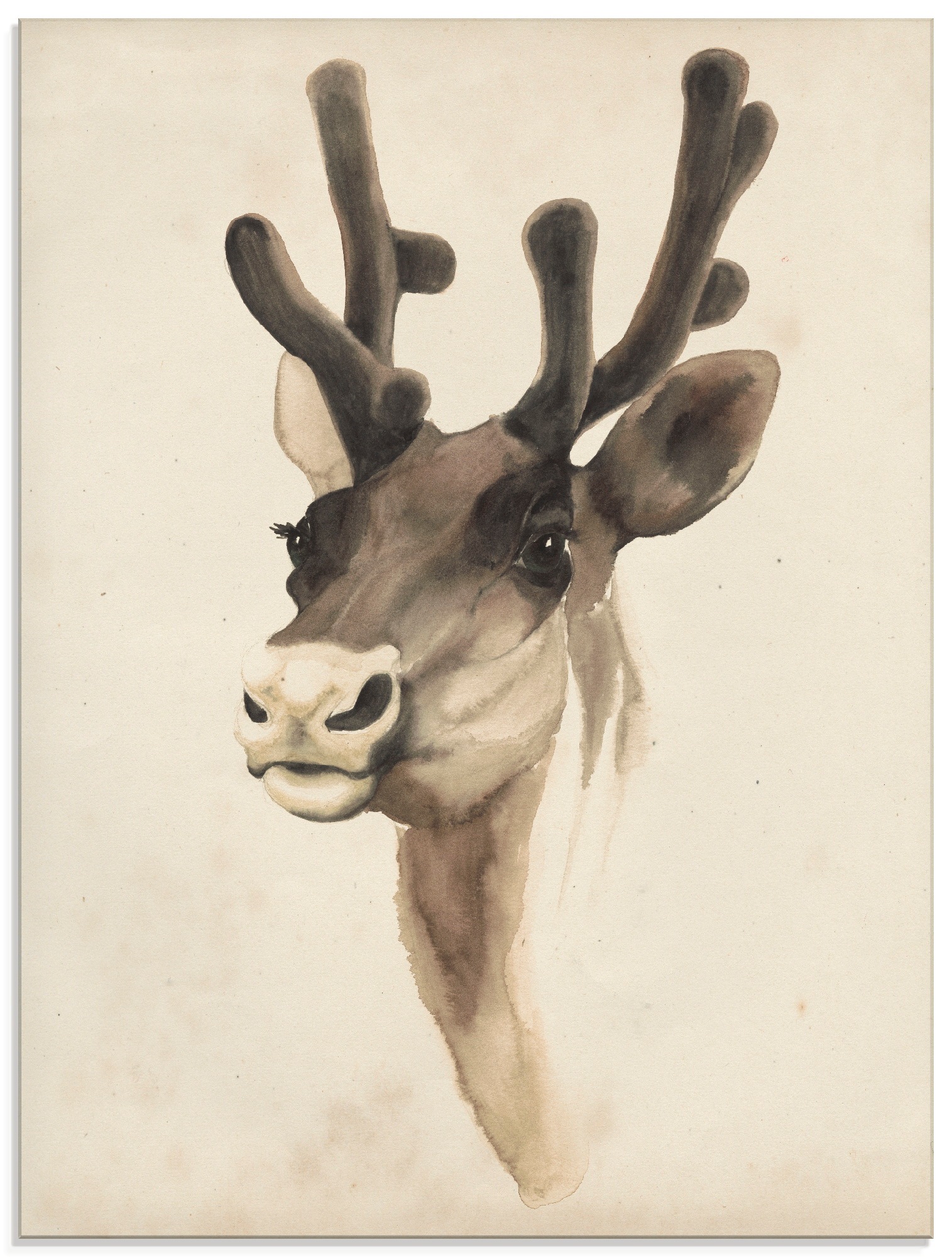 Image of Artland Glasbild »Wasserfarben Tierlehre III«, Wildtiere, (1 St.) bei Ackermann Versand Schweiz