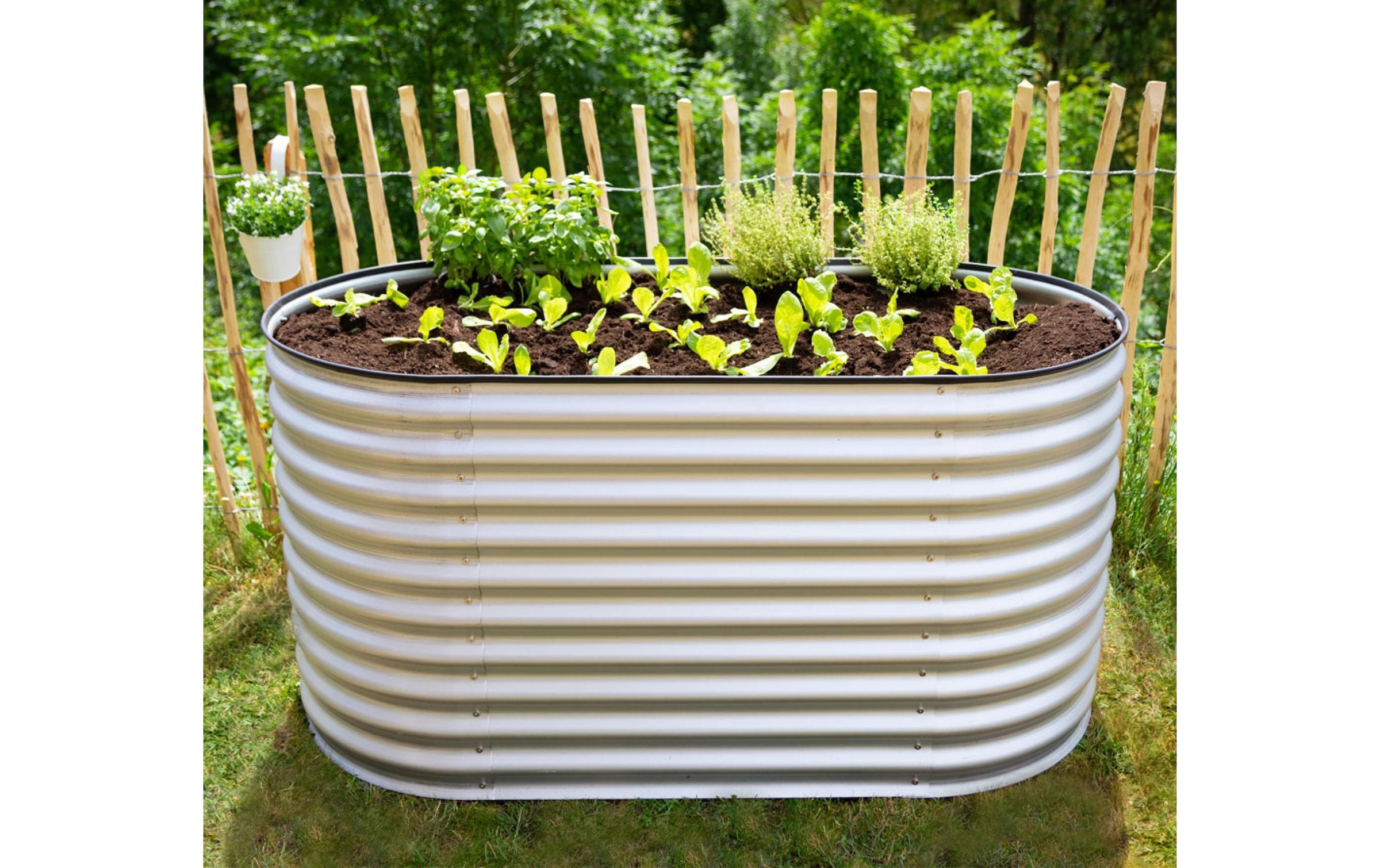 WESTMANN Hochbeet »Oval« BxTxH: 160x80x82 cm, silber