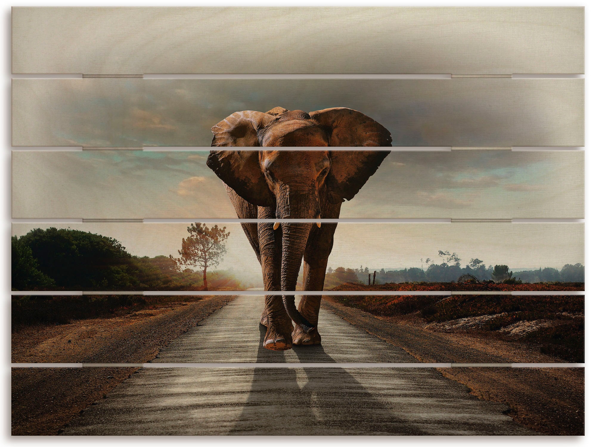 Elefanten St.) läuft Elefant Artland der maintenant Holzbild »Ein (1 Bilder, Strasse«, auf