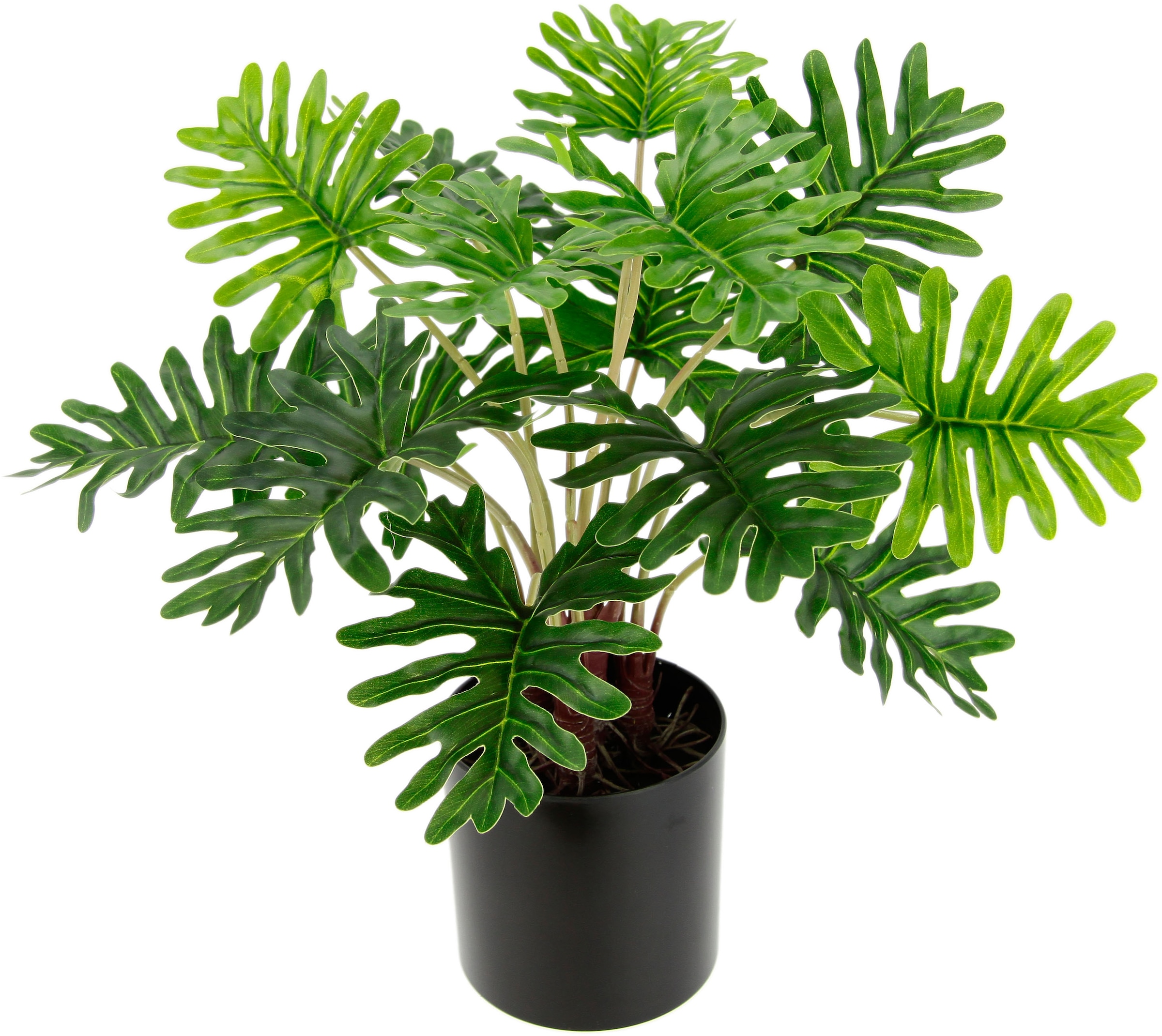 Image of I.GE.A. Künstliche Zimmerpflanze »Philo« bei Ackermann Versand Schweiz