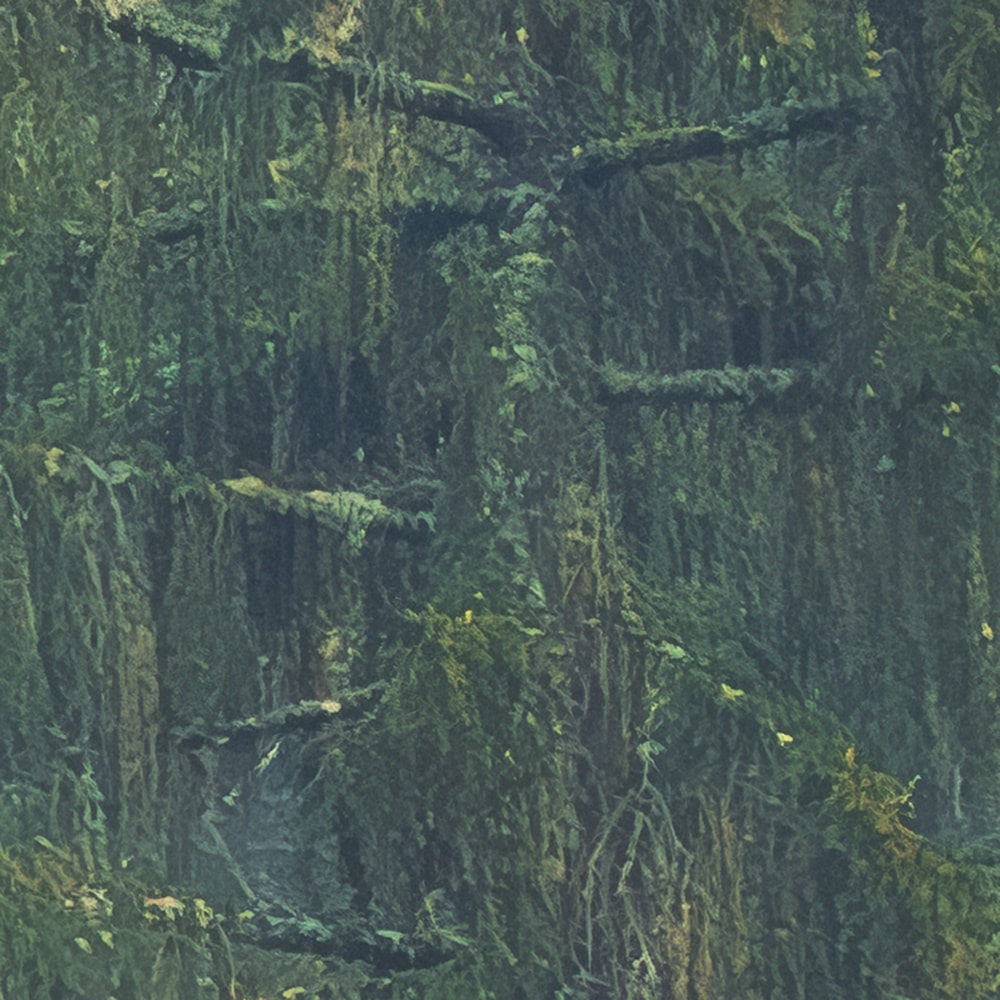 Komar Fototapete »Vlies Fototapete - Foggy Firs - Grösse 400 x 250 cm« Motiv | bedruckt glatt