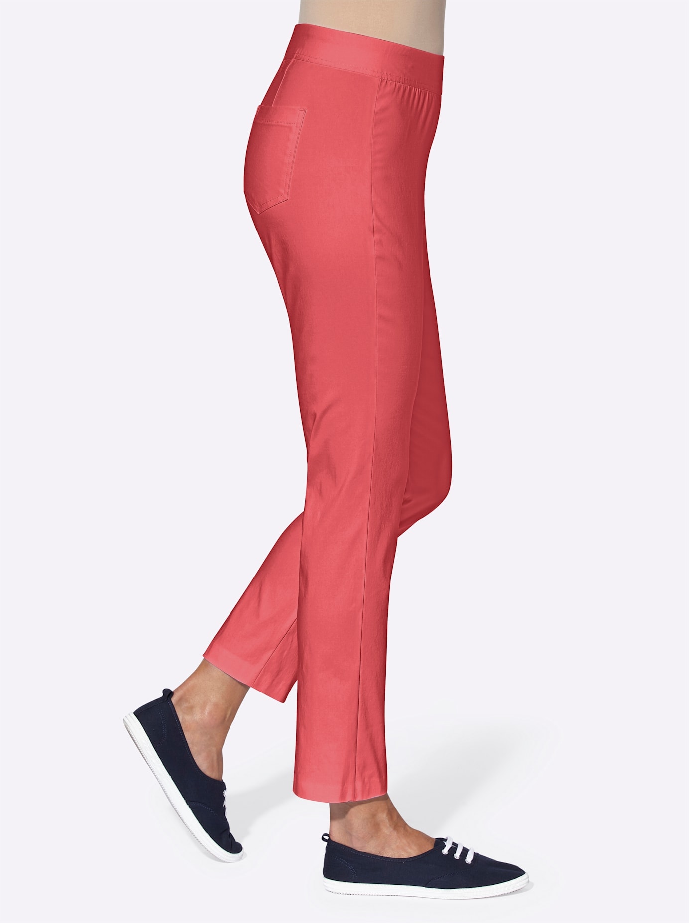 Classic Basics Webhose