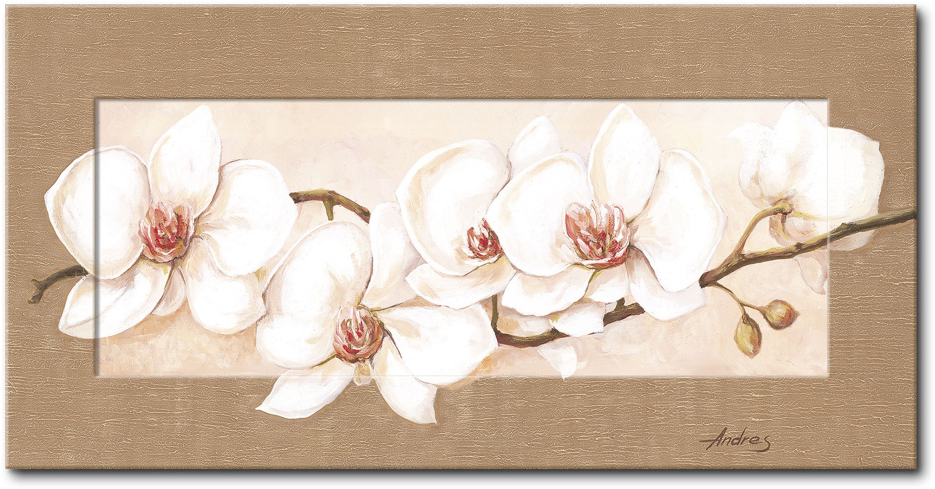 Image of Artland Wandbild »Orchideenzweig«, Blumen, (1 St.) bei Ackermann Versand Schweiz