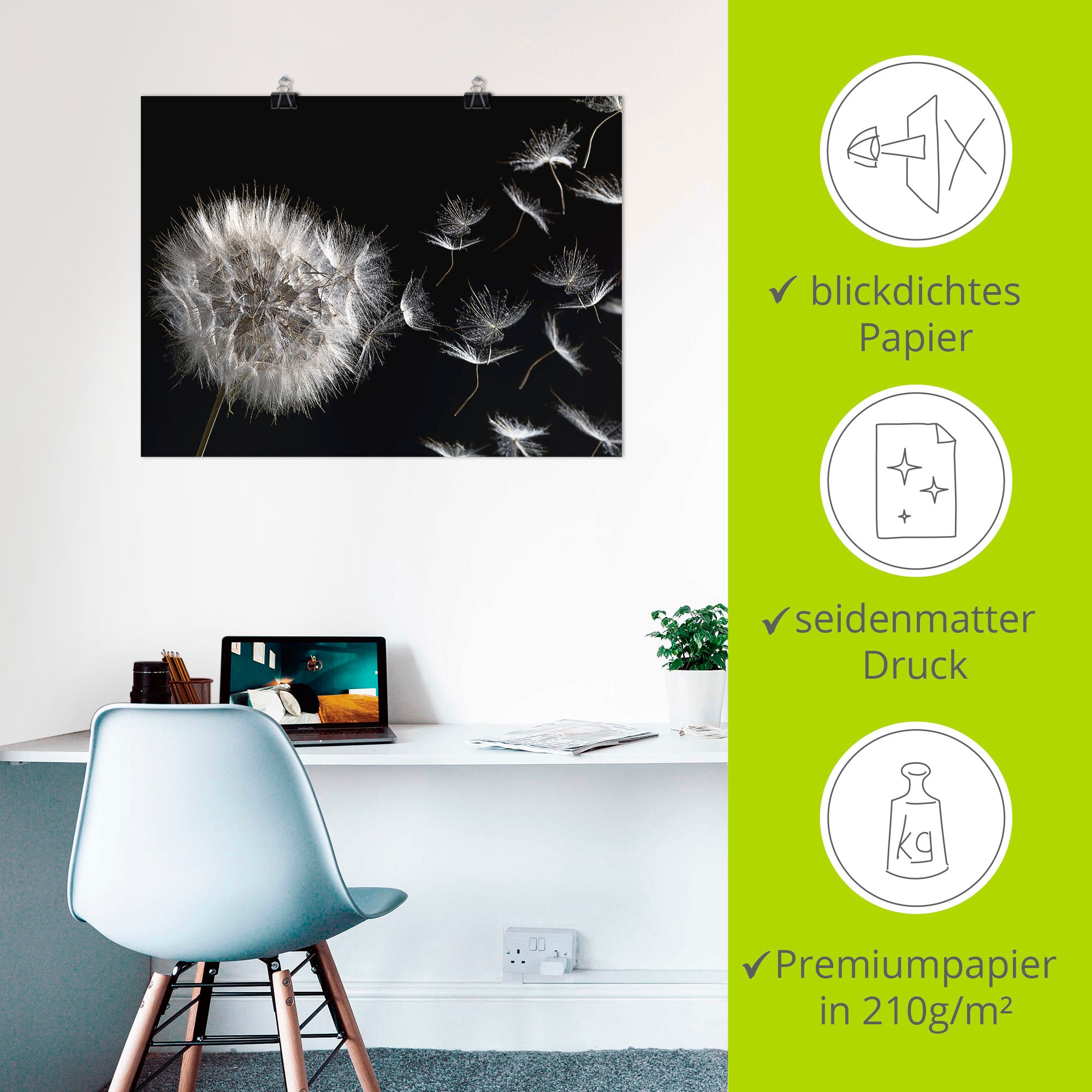 Artland Fresque murale »Pusteblume« 1 cuis tlg. als Leinwandbild, Poster in verschied. Grössen