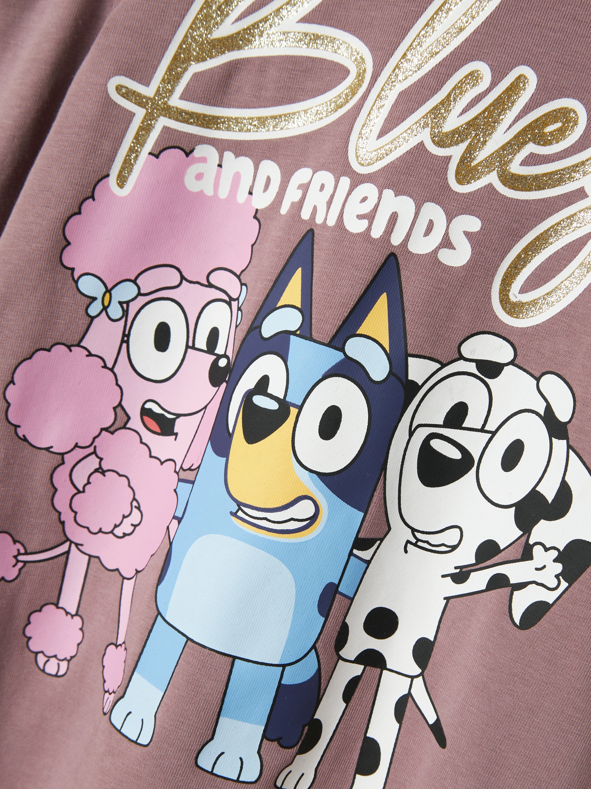 Name It Langarmshirt »NMFARIA BLUEY LS TOP NOOS SKY«, mit grossem Frontmotiv