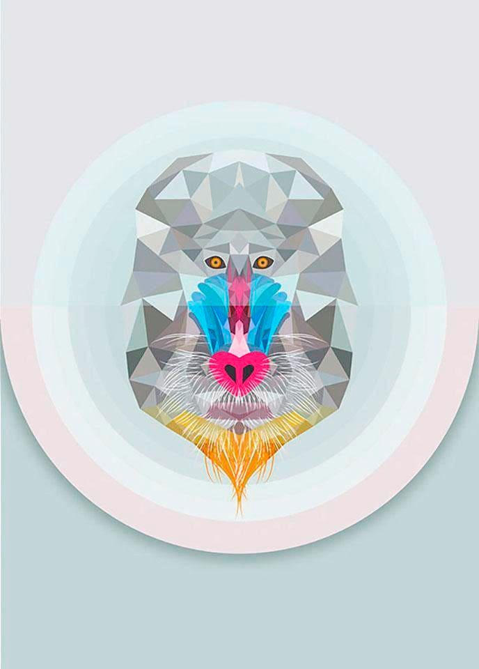 Komar Image »Baboon« 1 cuis tlg. Wandbild zur Dekoration - ohne Rahmen