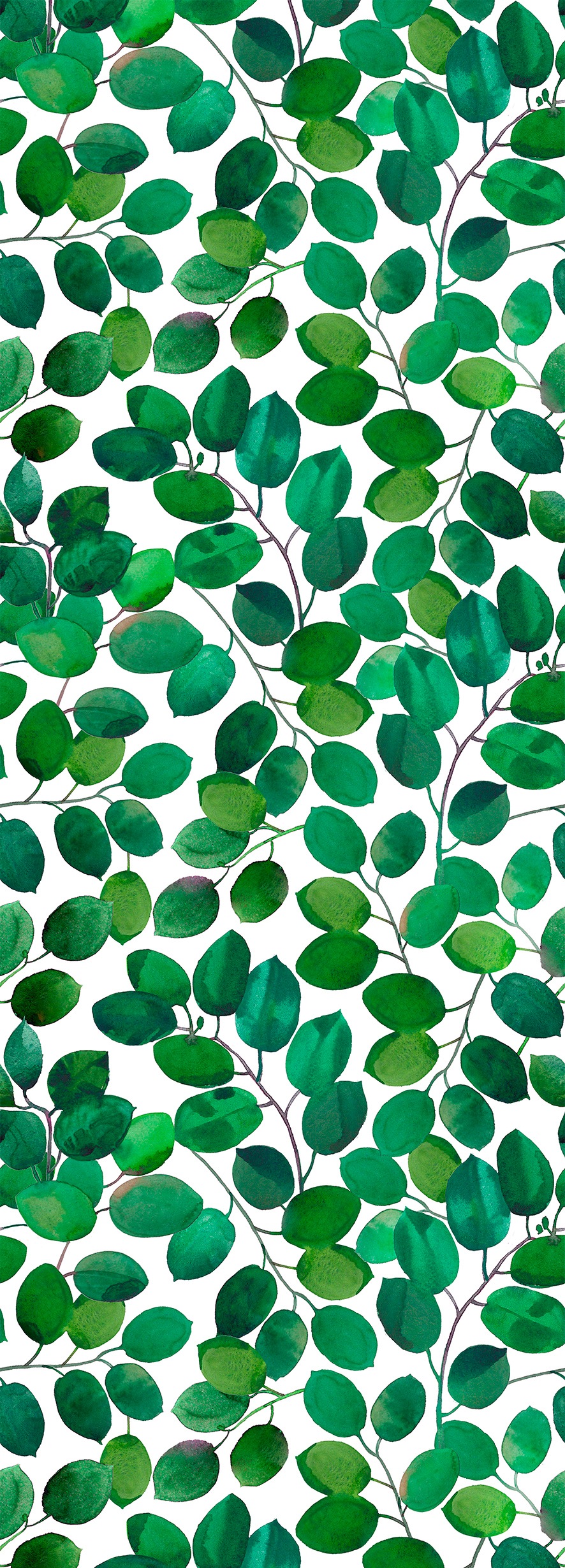 Image of queence Vinyltapete "Tropische Blätter-Grün" Motiv bedruckt botanisch floral gemustert natürlich glatt 90x250cm, selbstklebend, kinderleichte Anbringung, Sticker