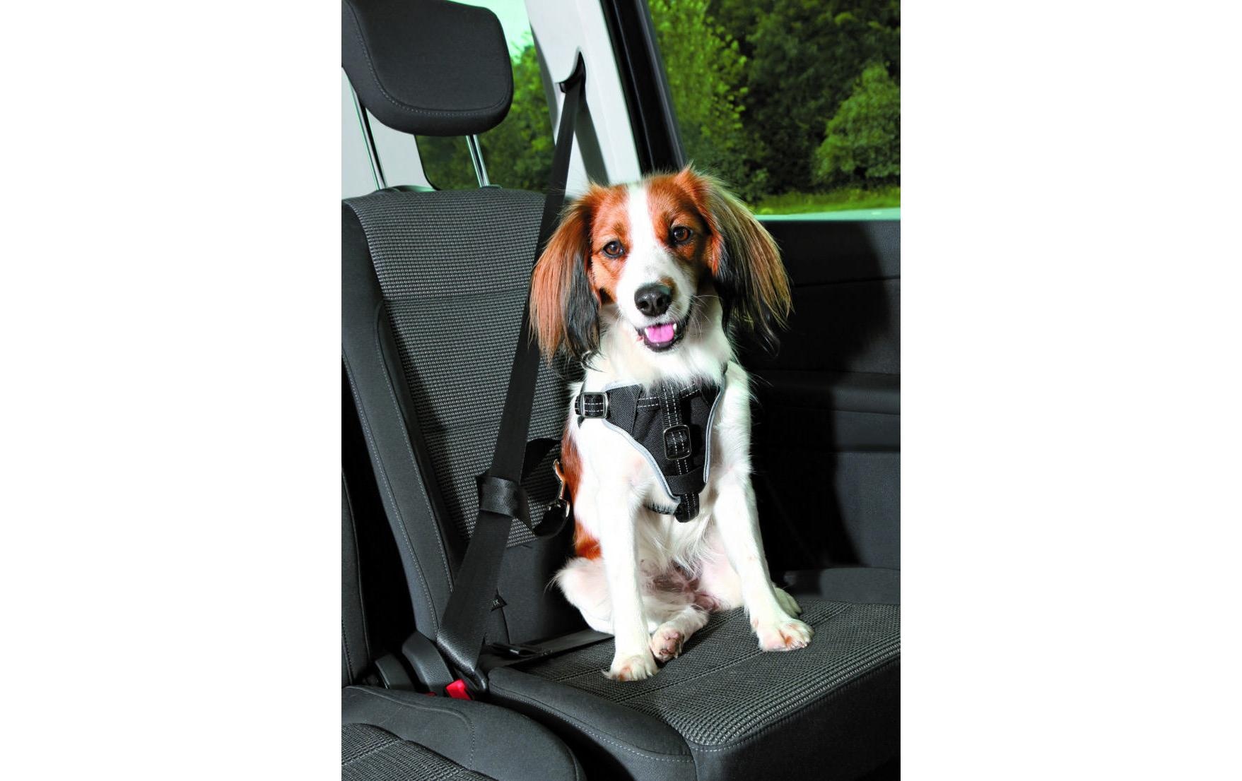 TRIXIE Hunde-Geschirr »Auto-Geschirr Dog Protect«, Nylon