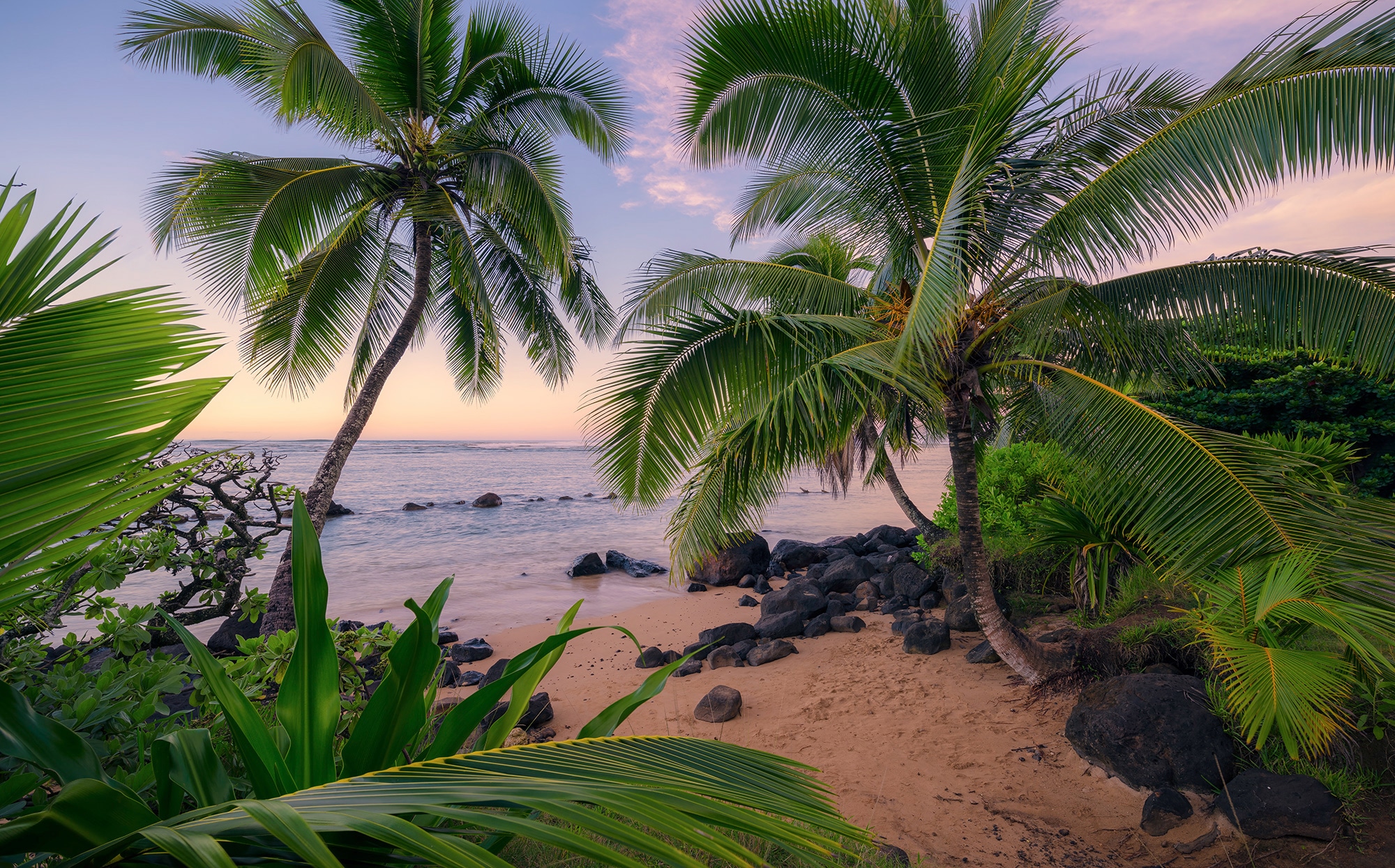 Image of Komar Vliestapete "Digitaldruck Vlies - Hawaiian Dreams - Grösse 450 x 280 cm" bedruckt glatt Wohnzimmer, Schlafzimmer