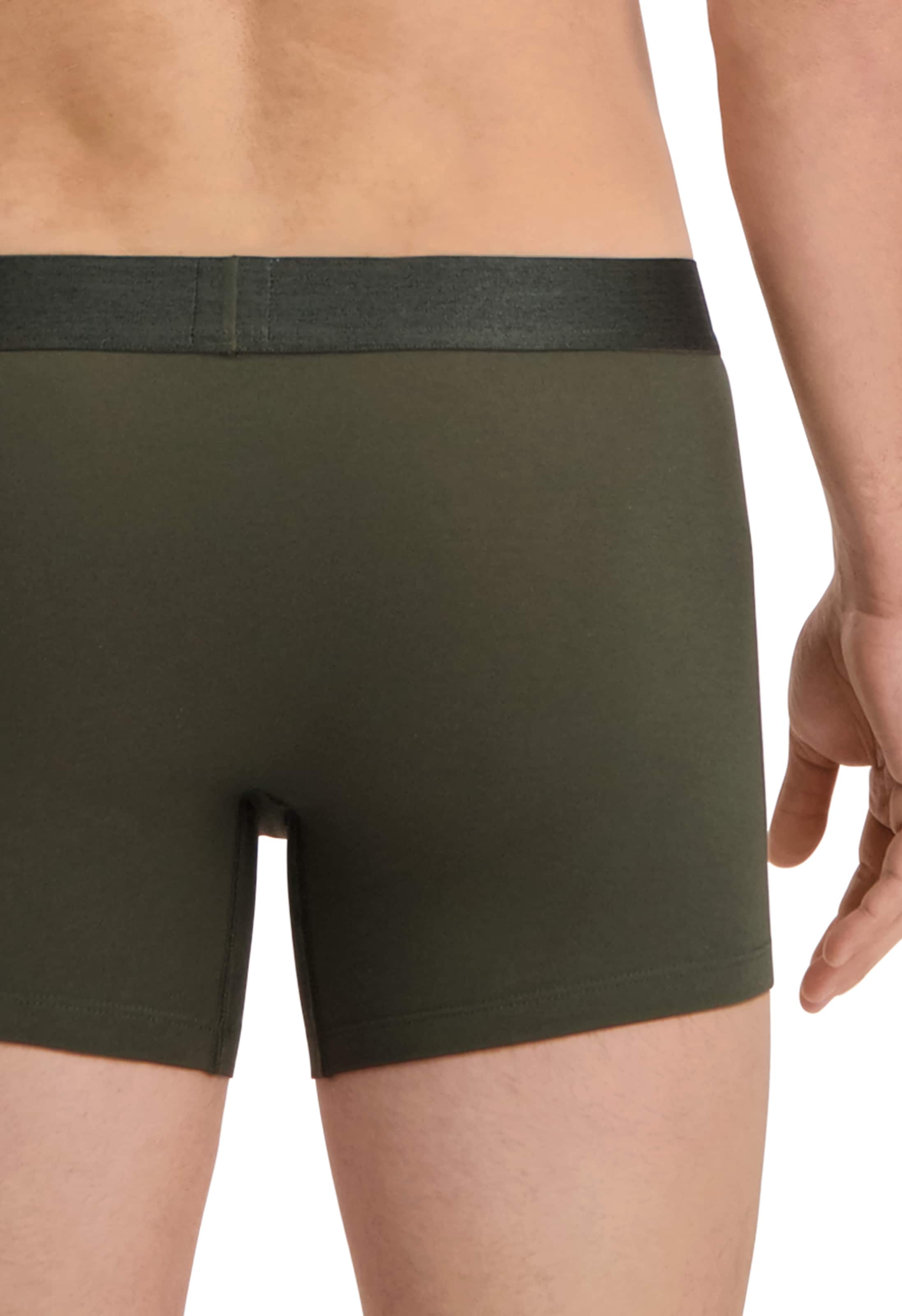 Levi's® Boxershorts »LEVIS MEN MEL WB BOXER BRIEF ORG CO 2P« 2er Pack,  mit breitem Logobund