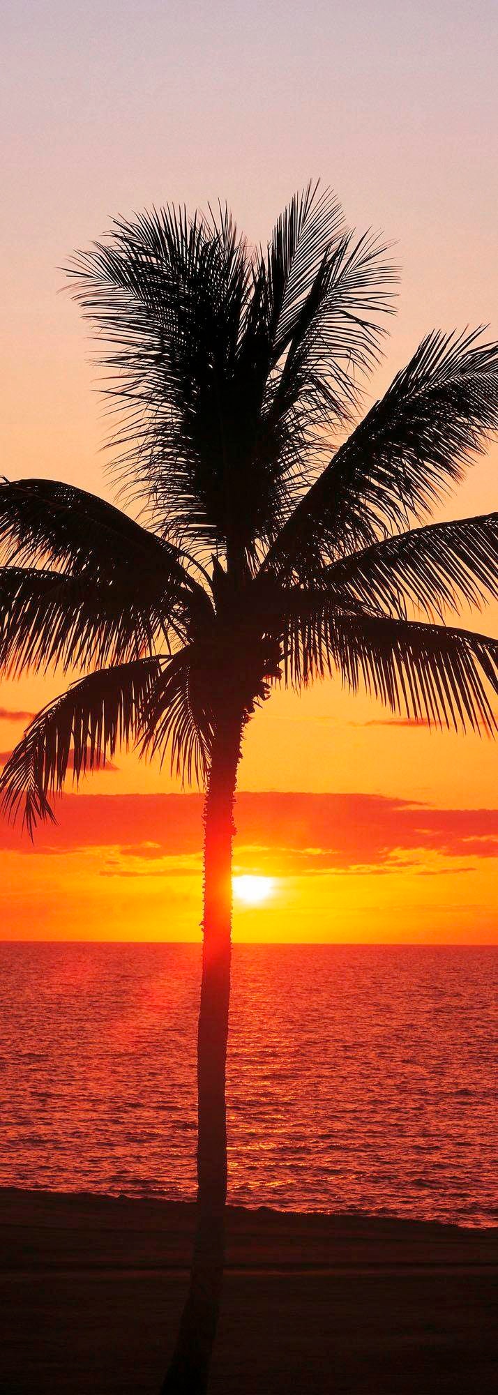 Image of Komar Vliestapete "Digitaldruck Vlies - Hawaii - Grösse 100 x 280 cm" bedruckt glatt Wohnzimmer, Schlafzimmer