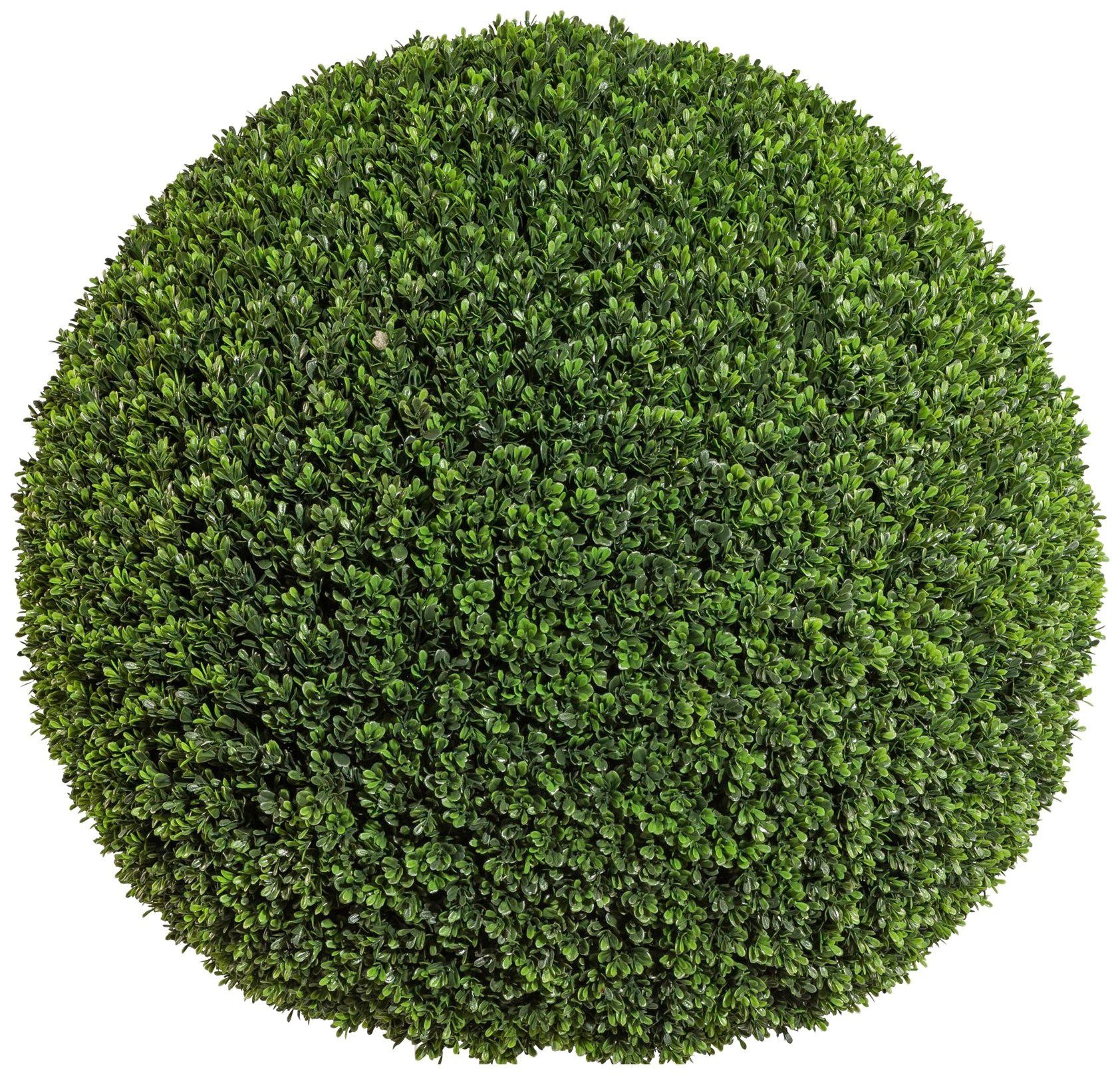 Image of Creativ green Kunstpflanze »Buchsbaumkugel«, (1 St.) bei Ackermann Versand Schweiz