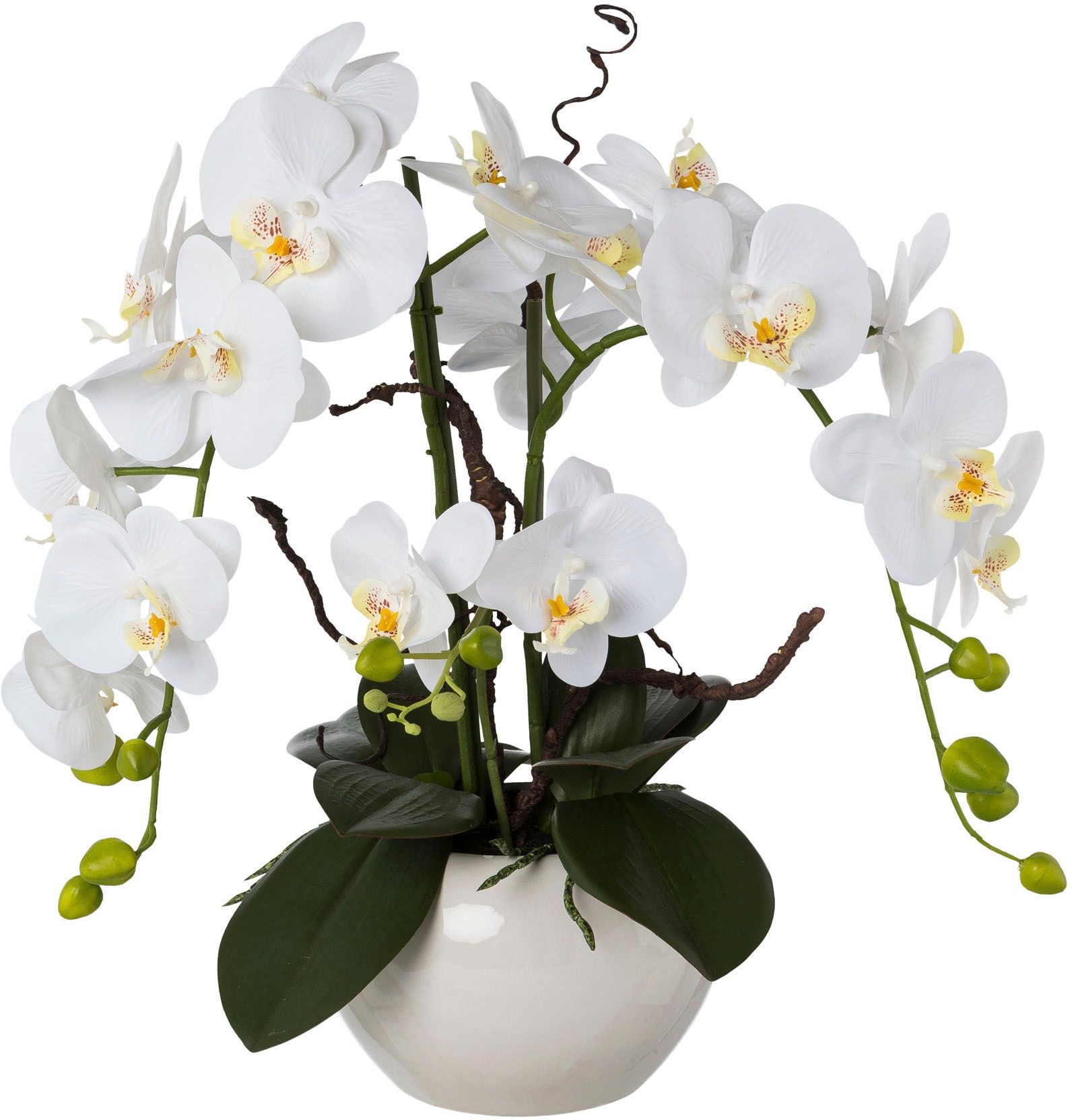 Kunstorchidee »Phalaenopsis«, im Keramiktopf