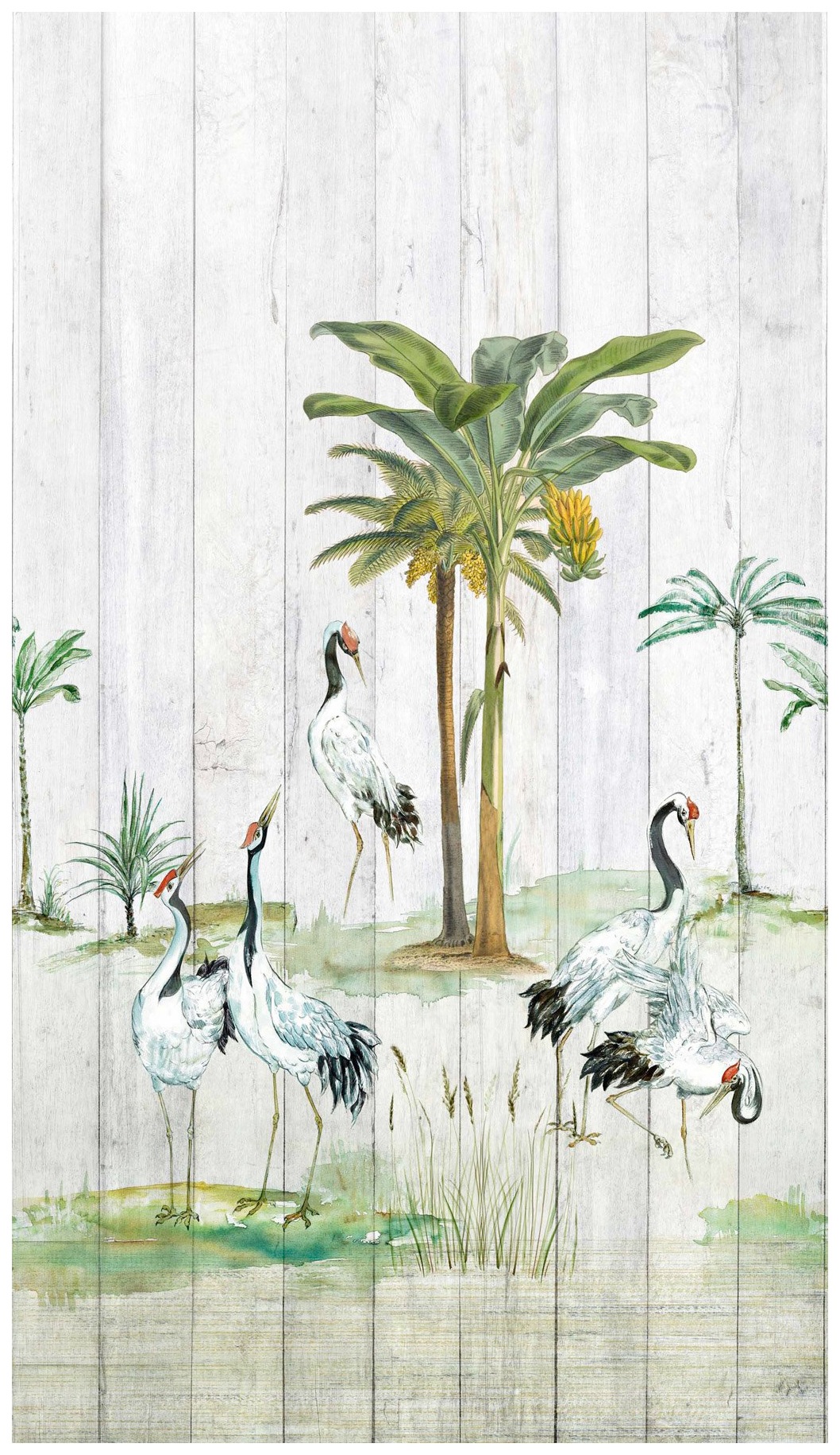 Image of Bodenmeister Fototapete »Vögel Palmen Holzwand« bei Ackermann Versand Schweiz