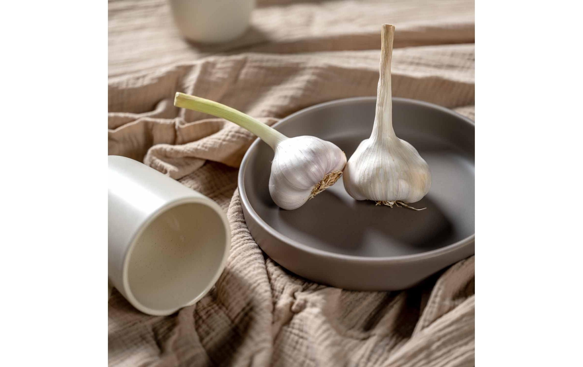 LEONARDO Frühstücksteller