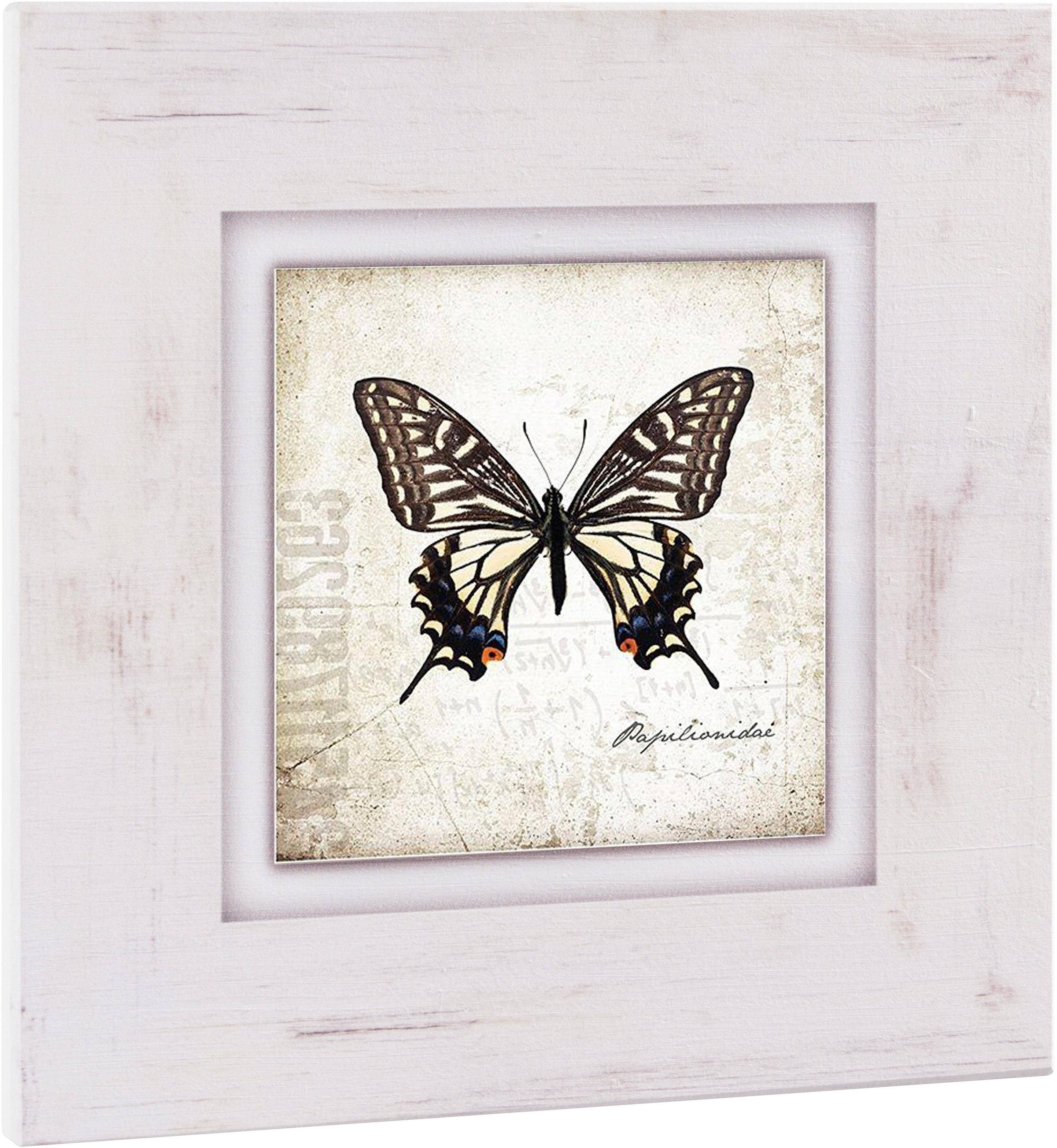 Image of Home affaire Holzbild »Brauner Schmetterling«, 40/40 cm bei Ackermann Versand Schweiz