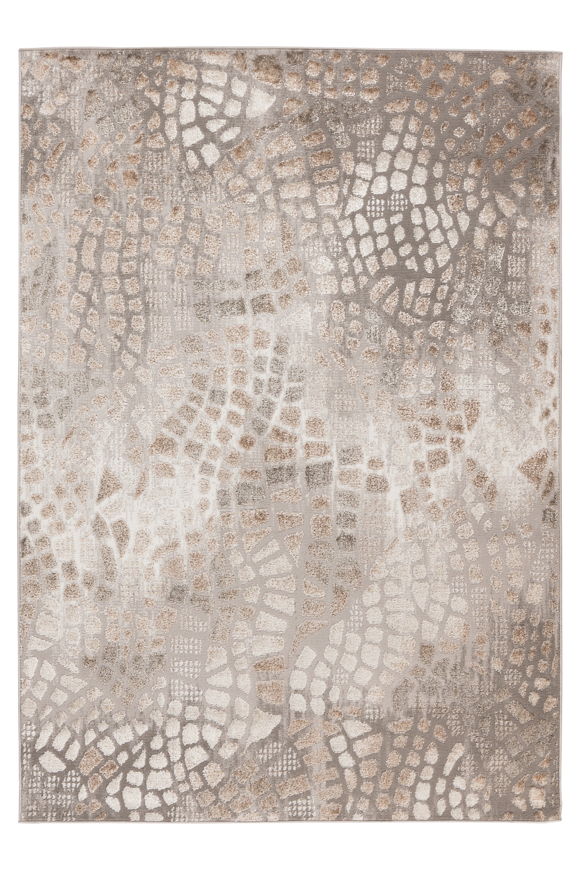 Image of Kayoom Teppich "Catcher 225" rechteckig 11 mm Höhe Kurzflor, Wohnzimmer
