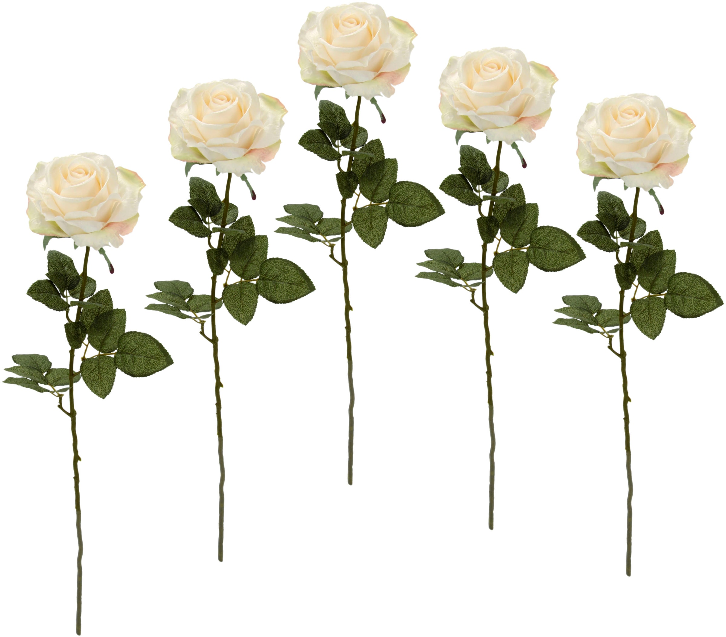 I.GE.A. Kunstblume »Rose«, 5er Set jetzt kaufen | Kunstblumen