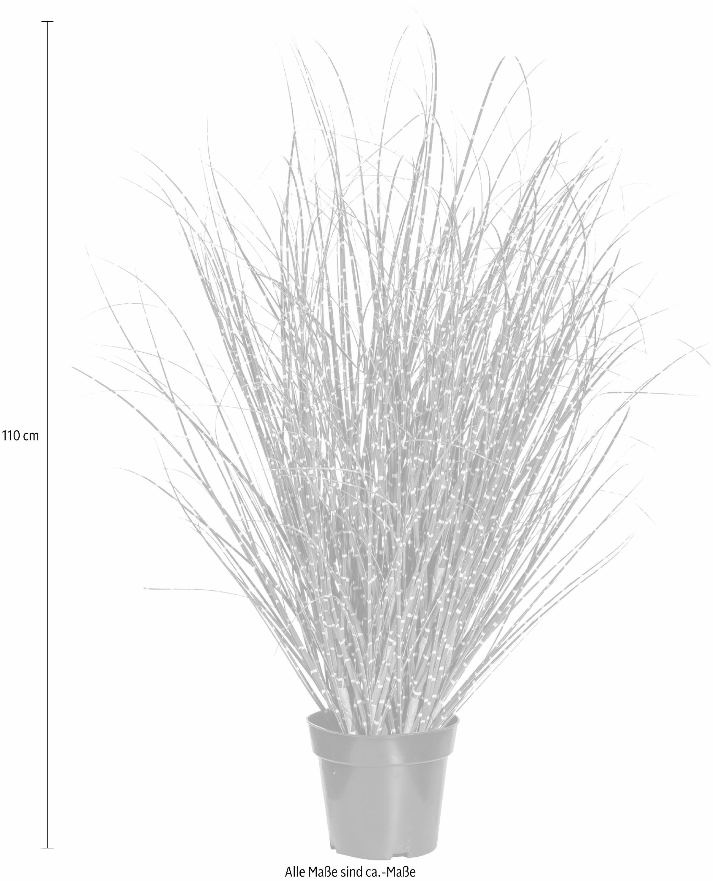 Creativ green Kunstgras »Miscanthus Zebrinus«