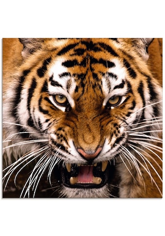 Glasbild »Tiger Kopf«, Wildtiere, (1 St.)