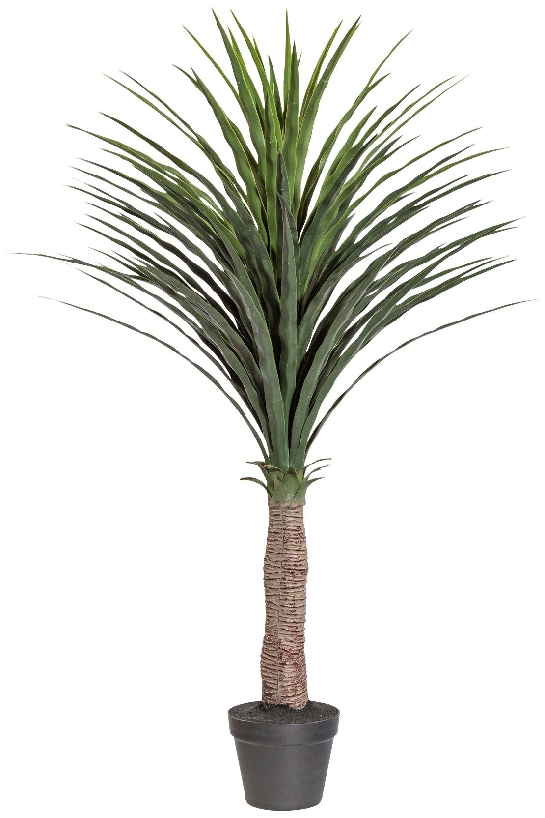 Creativ green Kunstpalme »Palme im günstig Kunststofftopf kaufen Yucca«