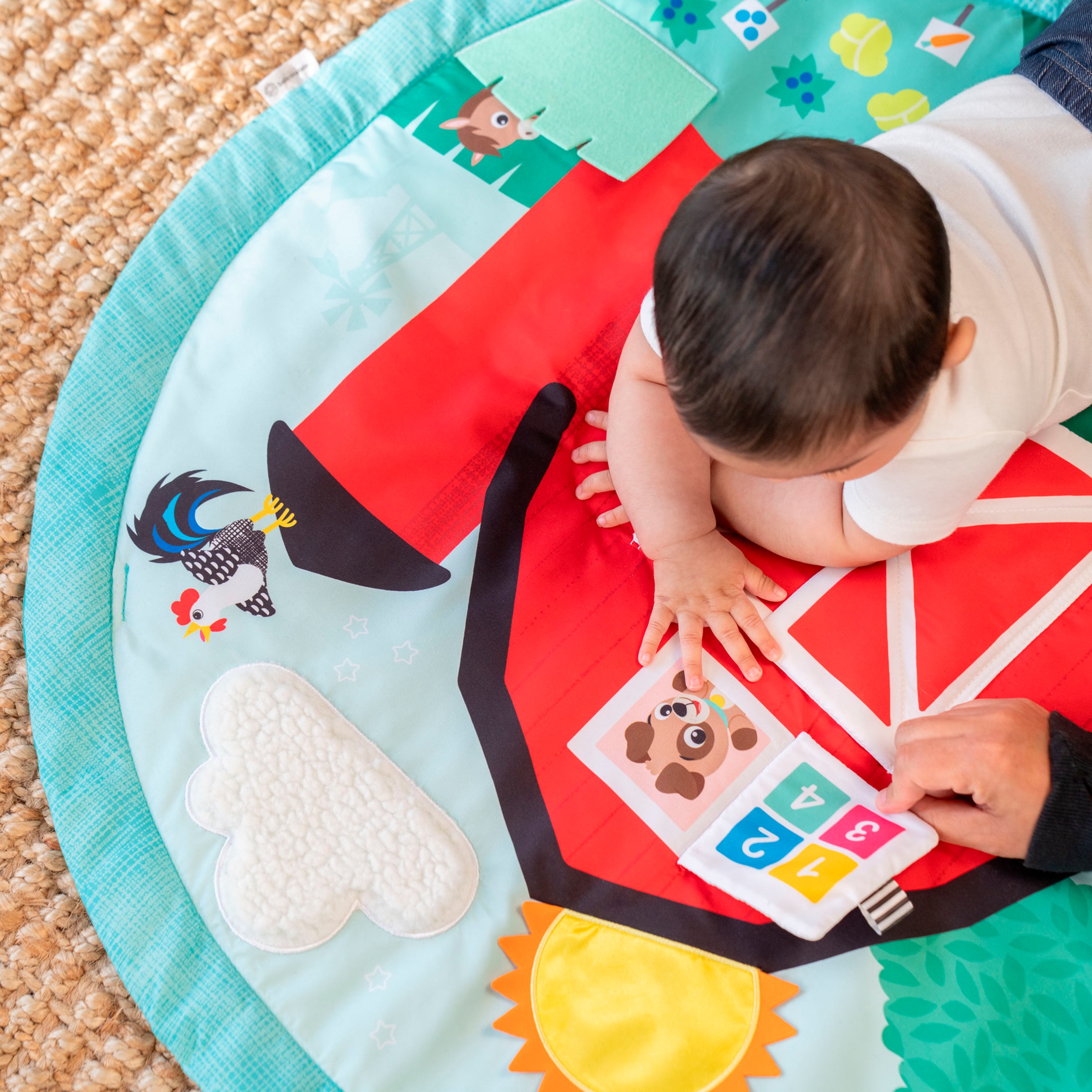 Baby Einstein Arche de jeu »Happy Harvest Touch & Feel Activity Gym« mit Soundeffekt