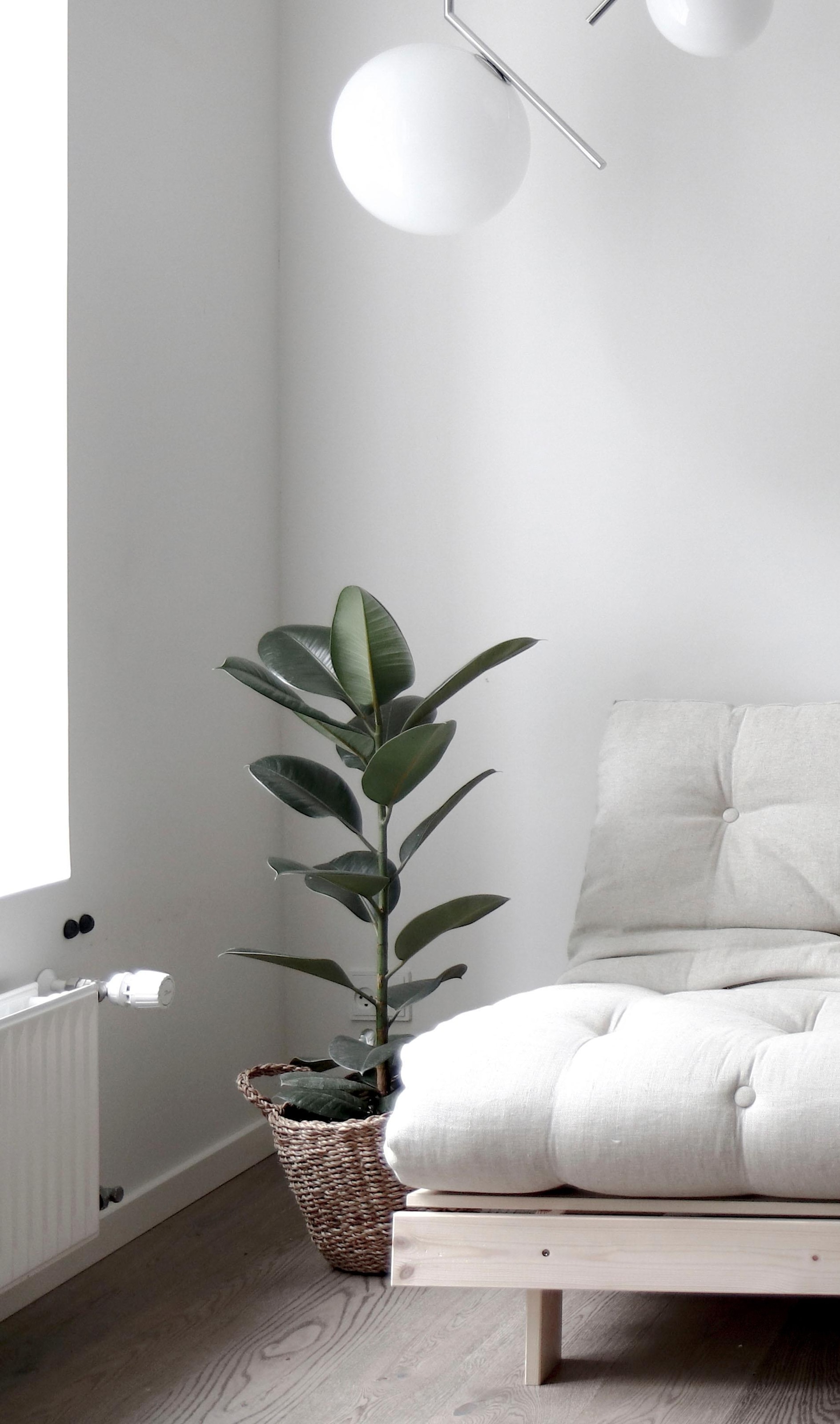 Karup Design Daybett »Daybett Roots Schlafsofa – Gästebett & Sofa aus FSC®-Kiefer«, Inkl. Futonmatratze, in mehreren Grössen & Farben erhältlich