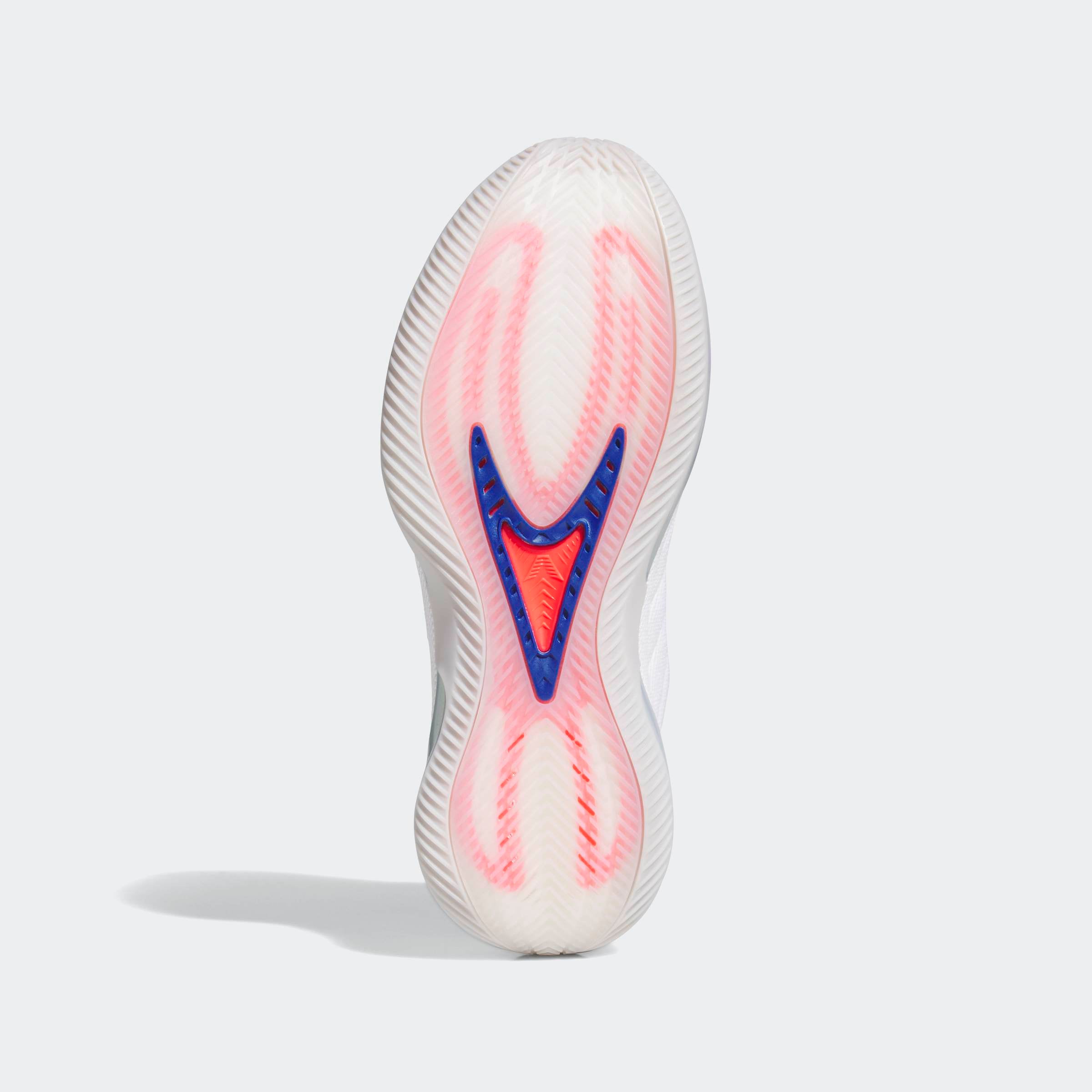 adidas Performance Chaussure de basket »ANTHONY EDWARDS 2«