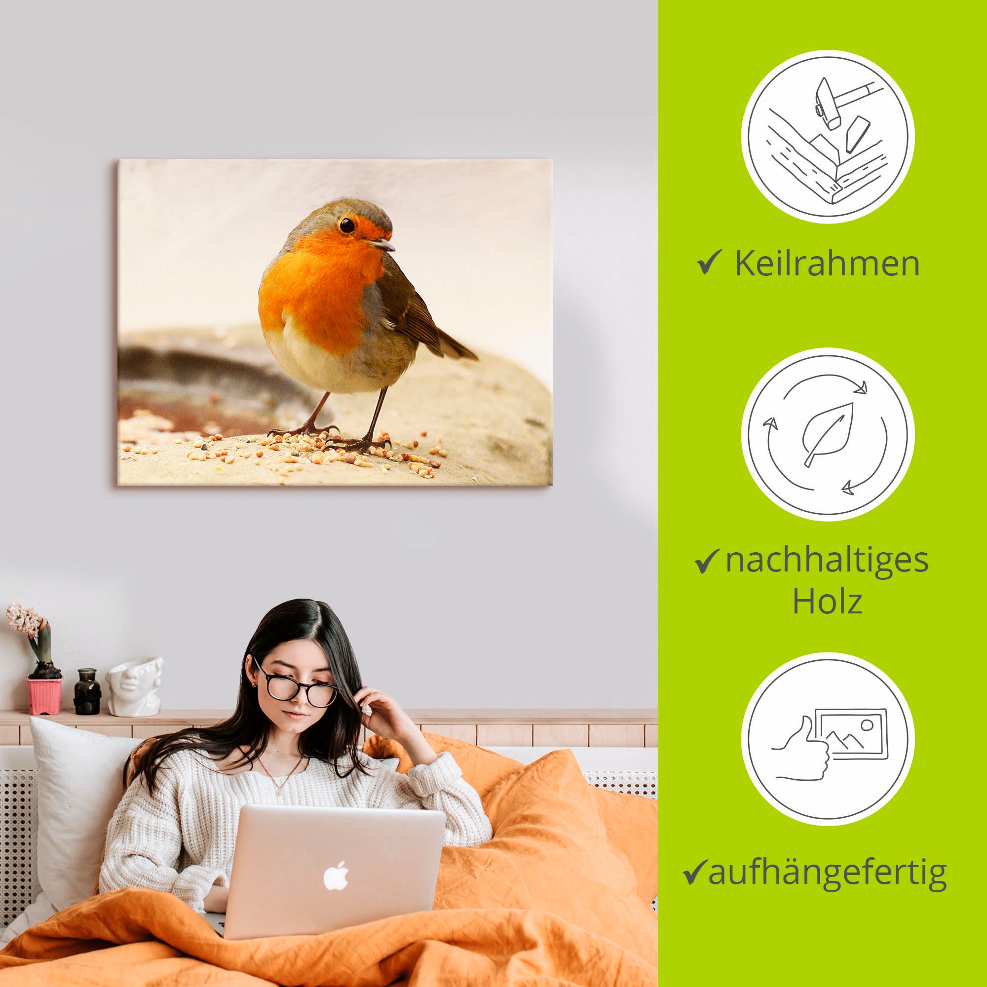 Artland Leinwandbild »Rotkehlchen« Vögel 1 Stk. tlg. auf Holzrahmen gespannt