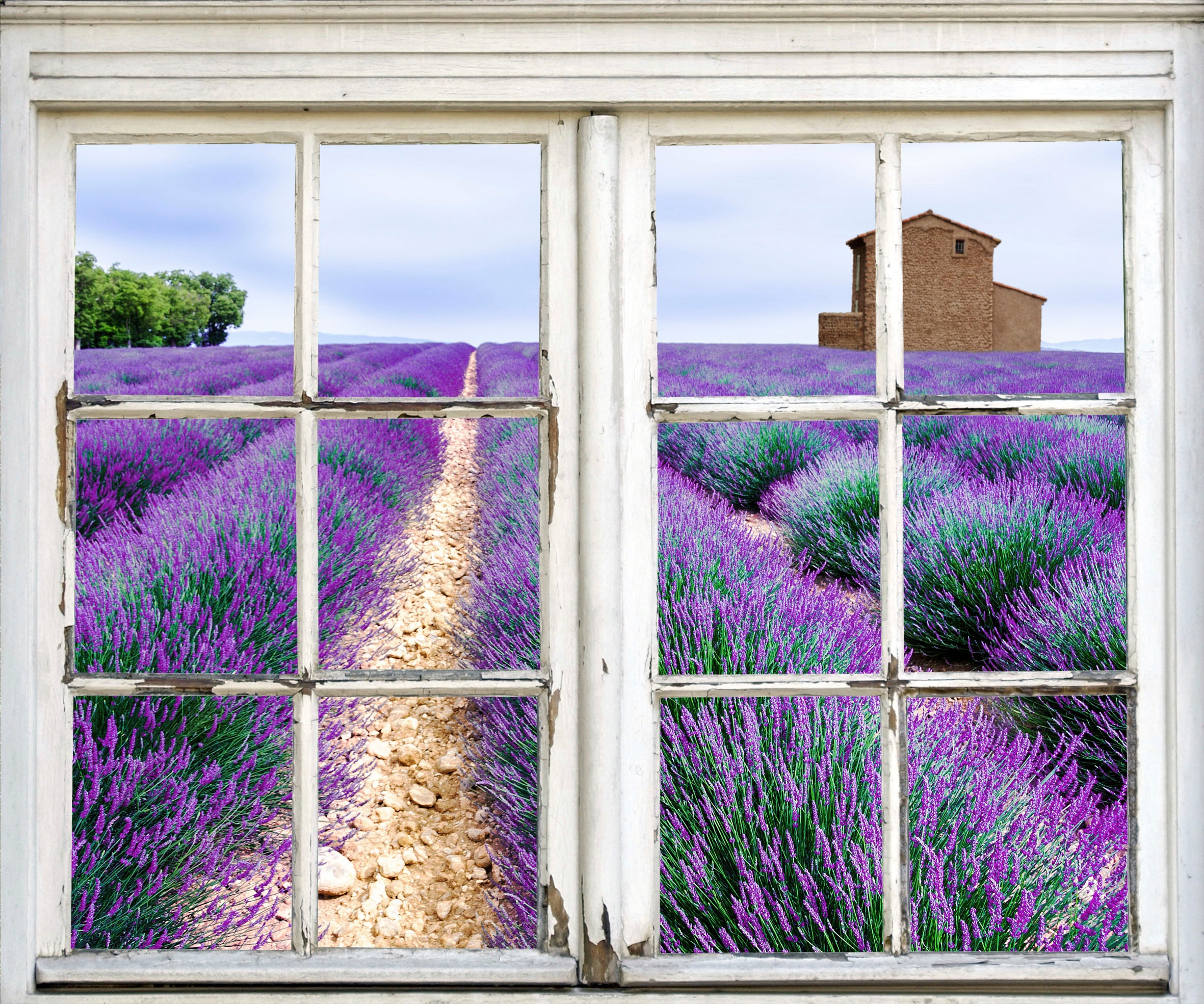 Image of queence Wandsticker "Blumenfeld" Wandsticker, Wandbild, selbstklebend, 3D, Fenster