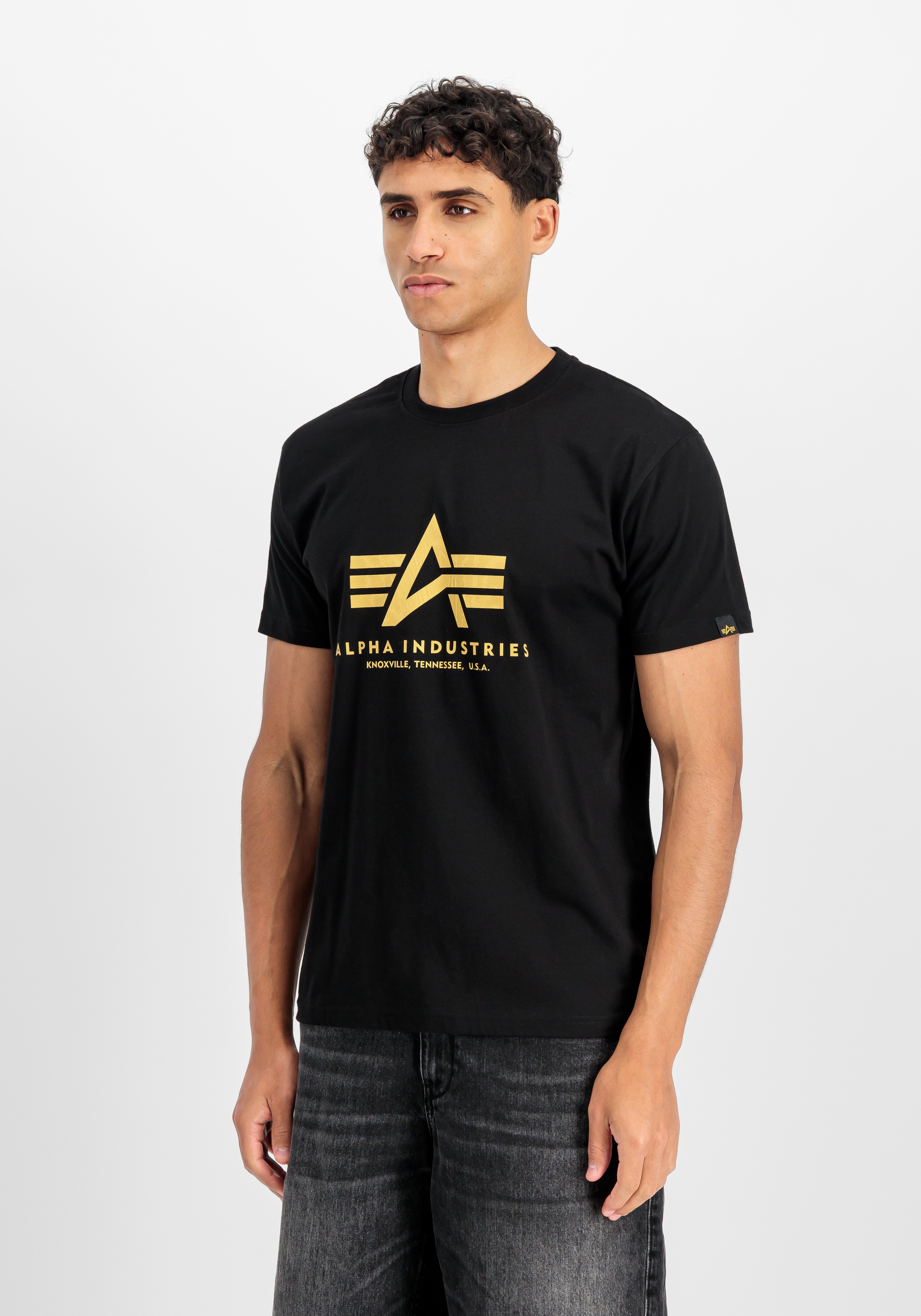 Image of Alpha Industries T-Shirt "Basic BL Ripstop T-Shirt"