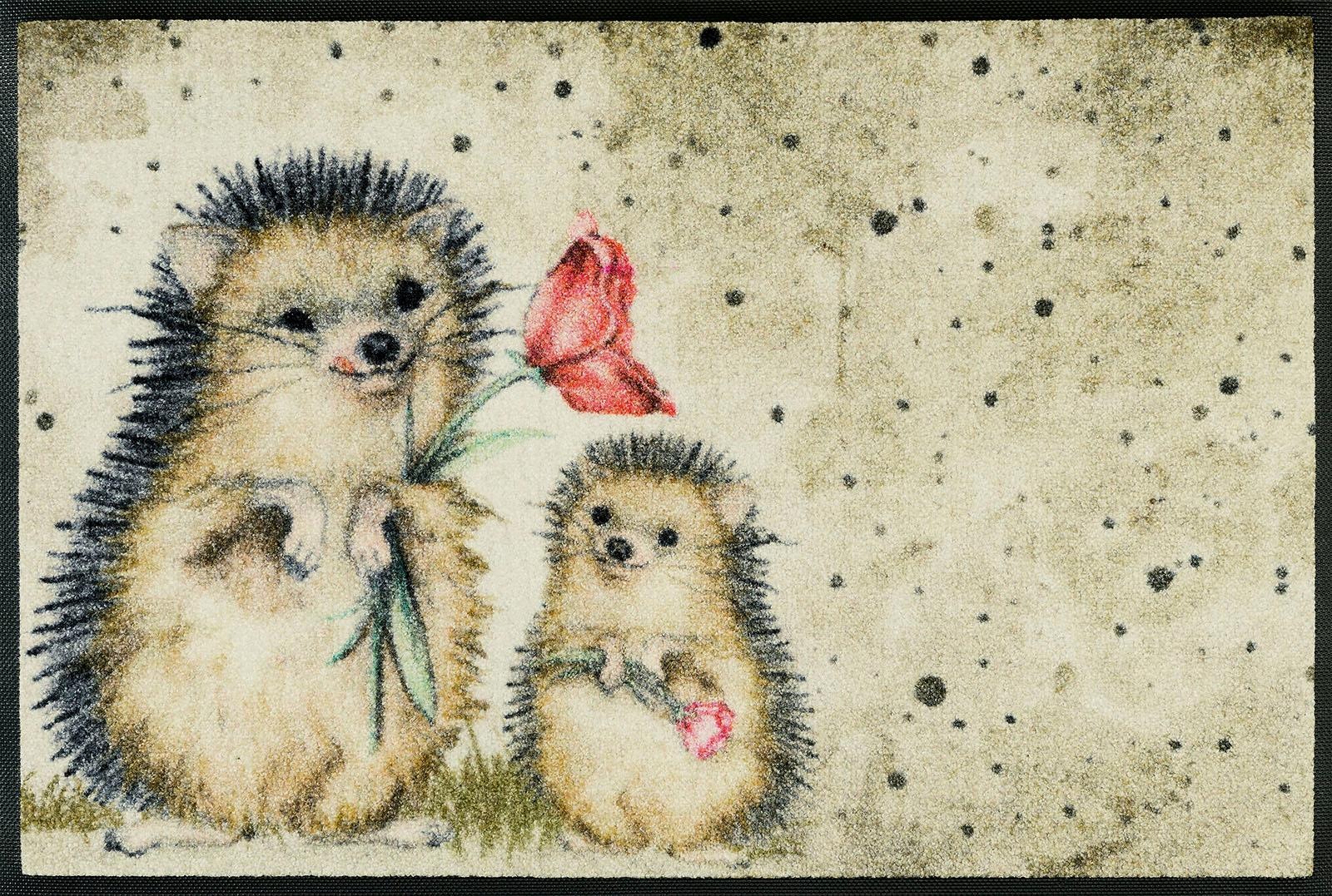 Image of wash+dry by Kleen-Tex Fussmatte "Spike" rechteckig 7 mm Höhe Schmutzfangmatte, Motiv Igel, rutschhemmend, waschbar