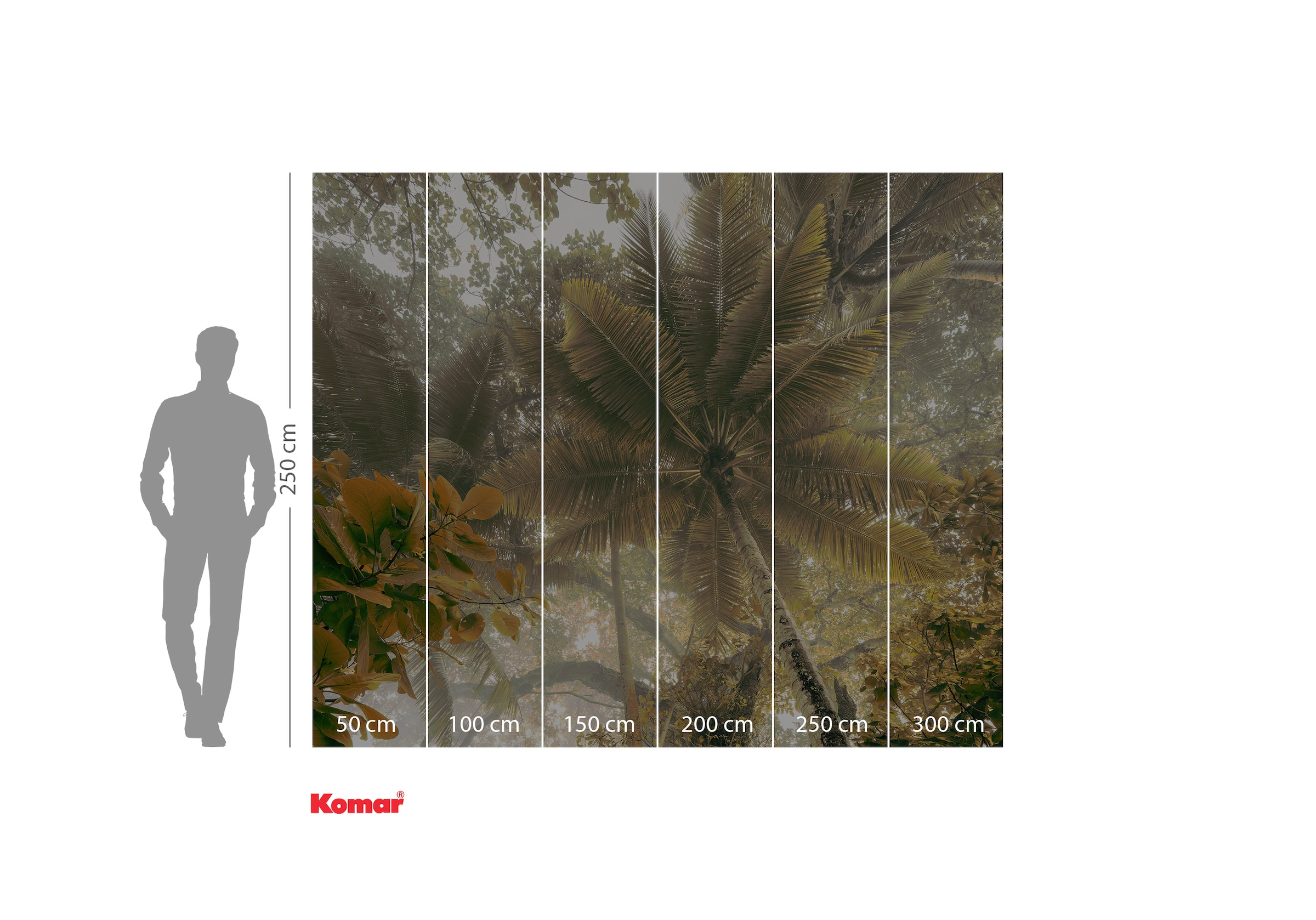 Komar Fototapete »Digitaldruck Vlies - Palms Panorama - Grösse 300 x 250 cm«, bedruckt-floral-geblümt-gemustert-tropisch, Wohnzimmer, Schlafzimmer