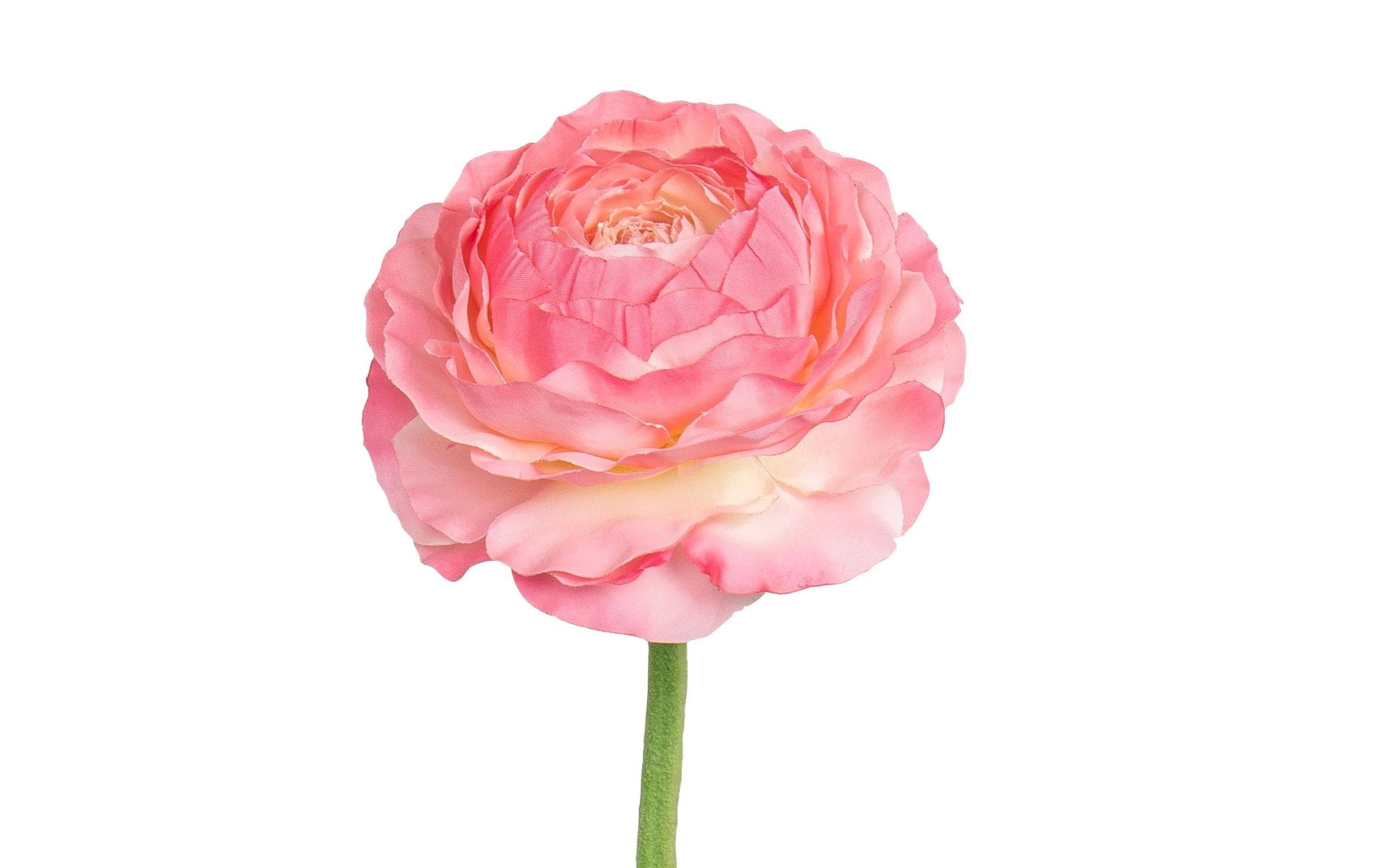 Botanic-Haus Kunstblume »Ranunkel 50 cm«
