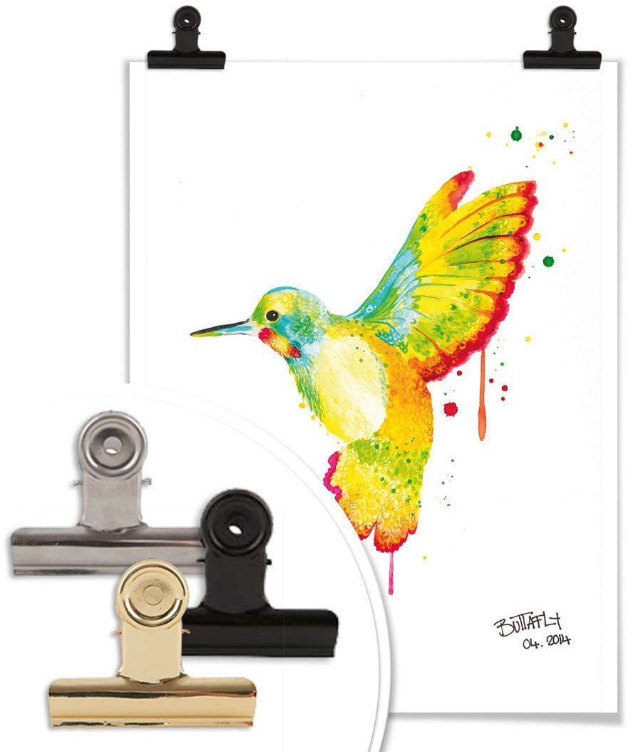 Wall-Art Poster »Kolibri«, Vögel, (1 Wandbild, kaufen St.), Bild, Poster, bequem Wandposter