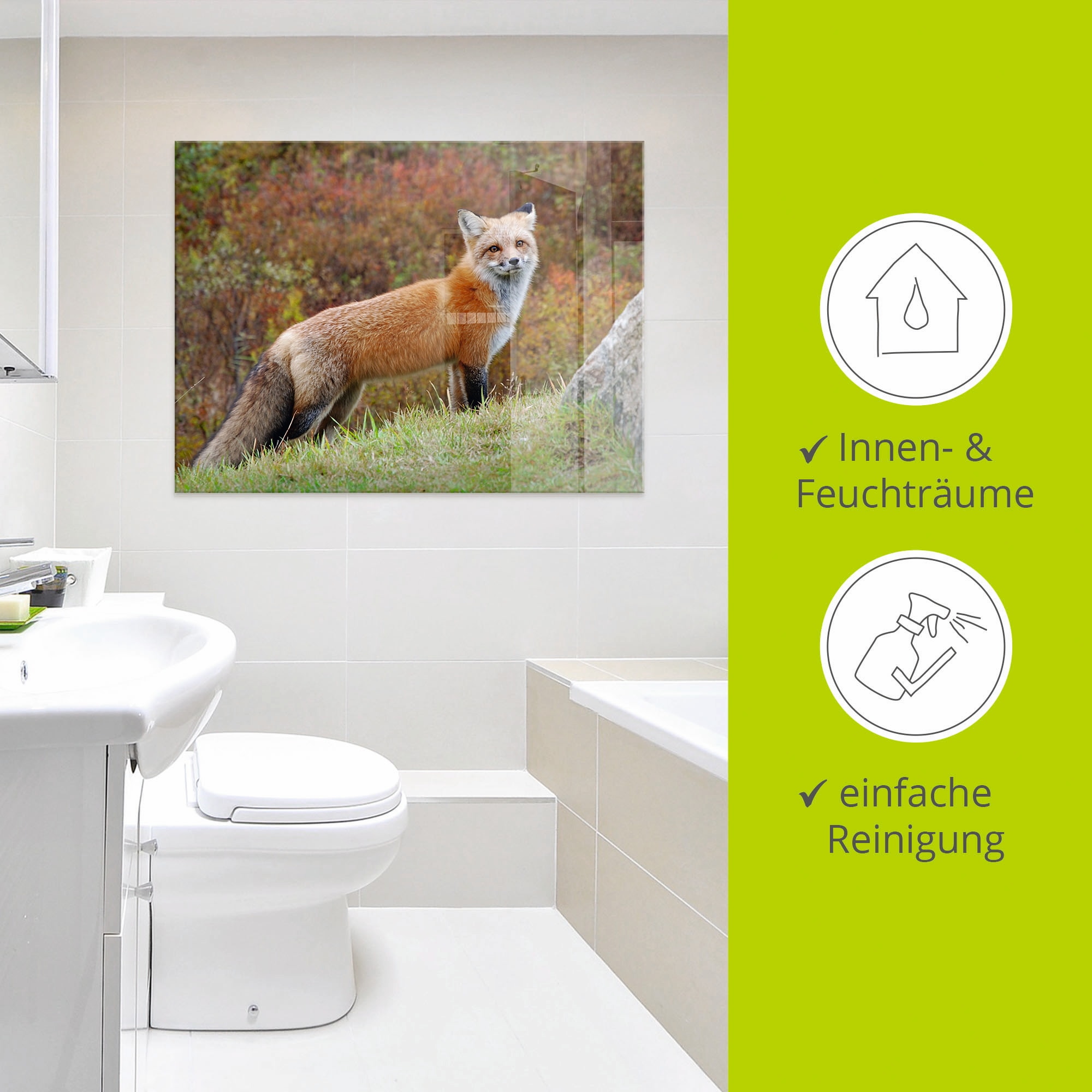 Artland Glasbild »Fuchs I« Wildtiere 1 Stk. tlg. in verschiedenen Grössen