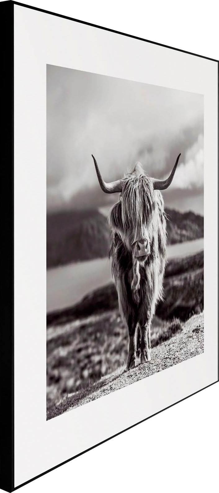 Reinders! Wandbild »Slim Frame Black 50x50 Highland Cow«